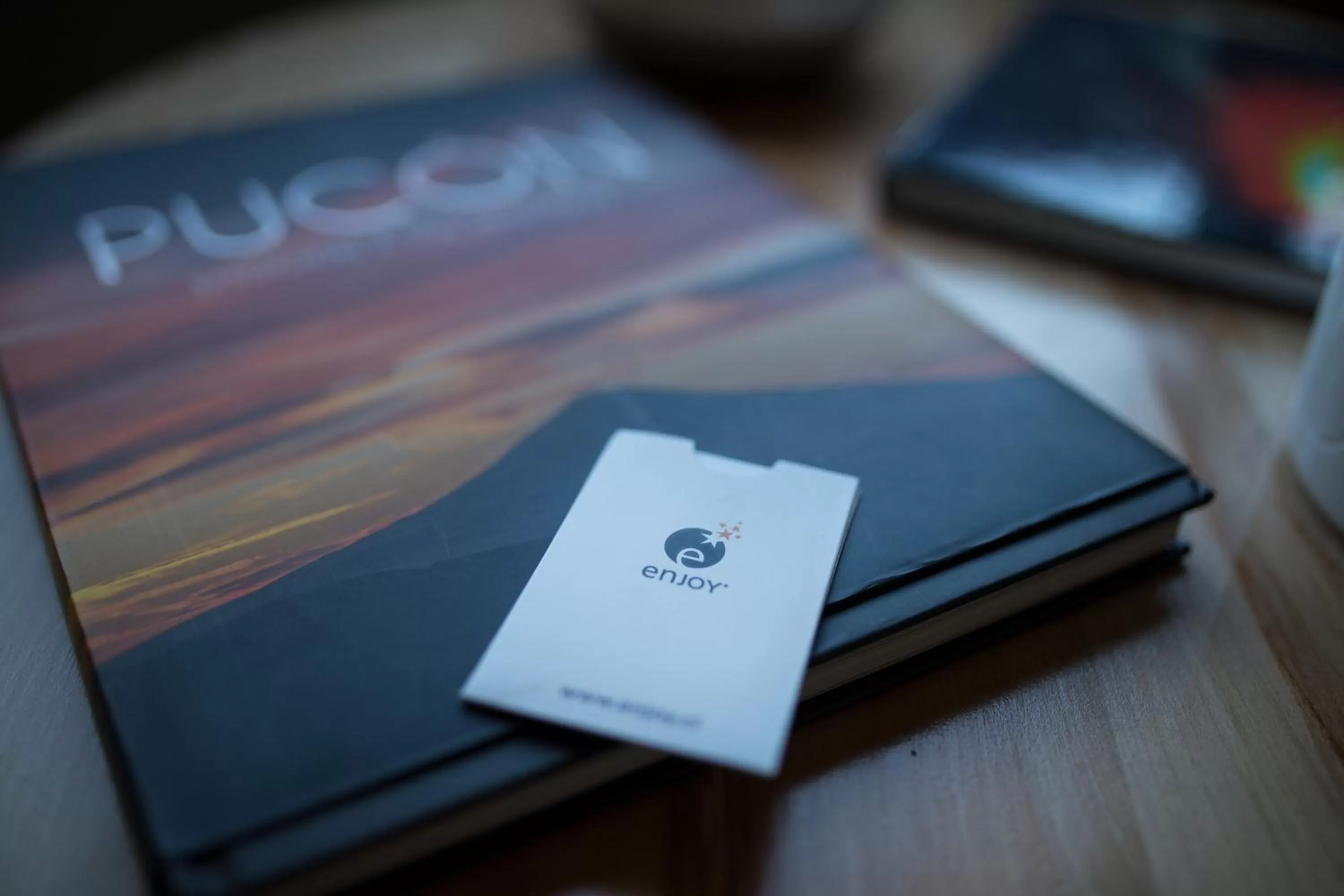 Other in Hotel Enjoy Pucón