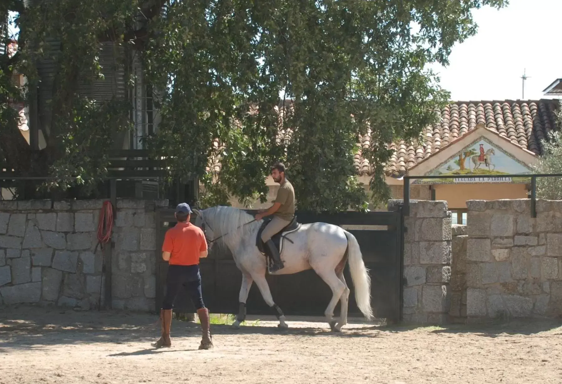 Horse-riding, Horseback Riding in B&B Yeguada La Parrilla