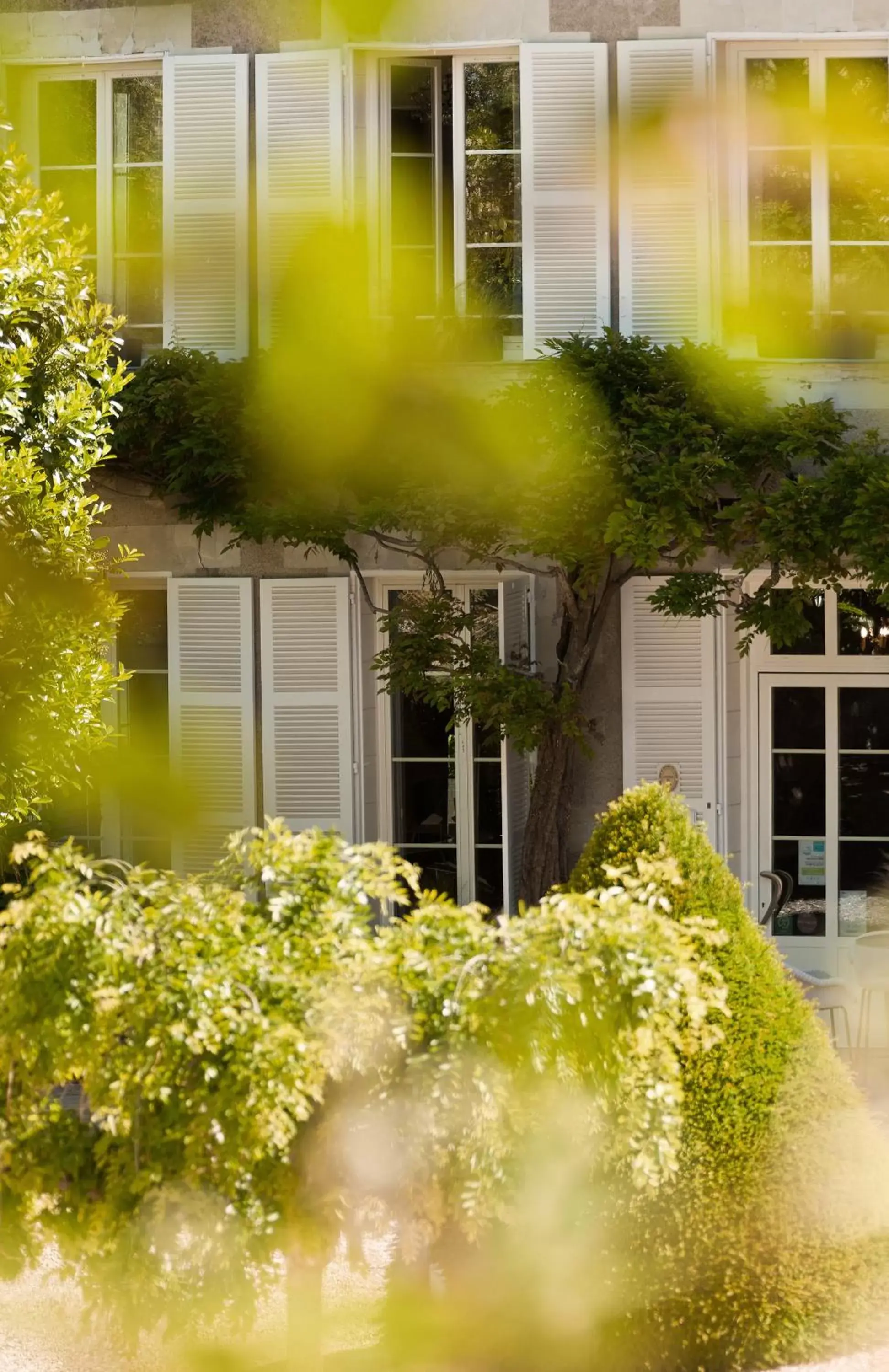 Garden in Le Manoir Les Minimes