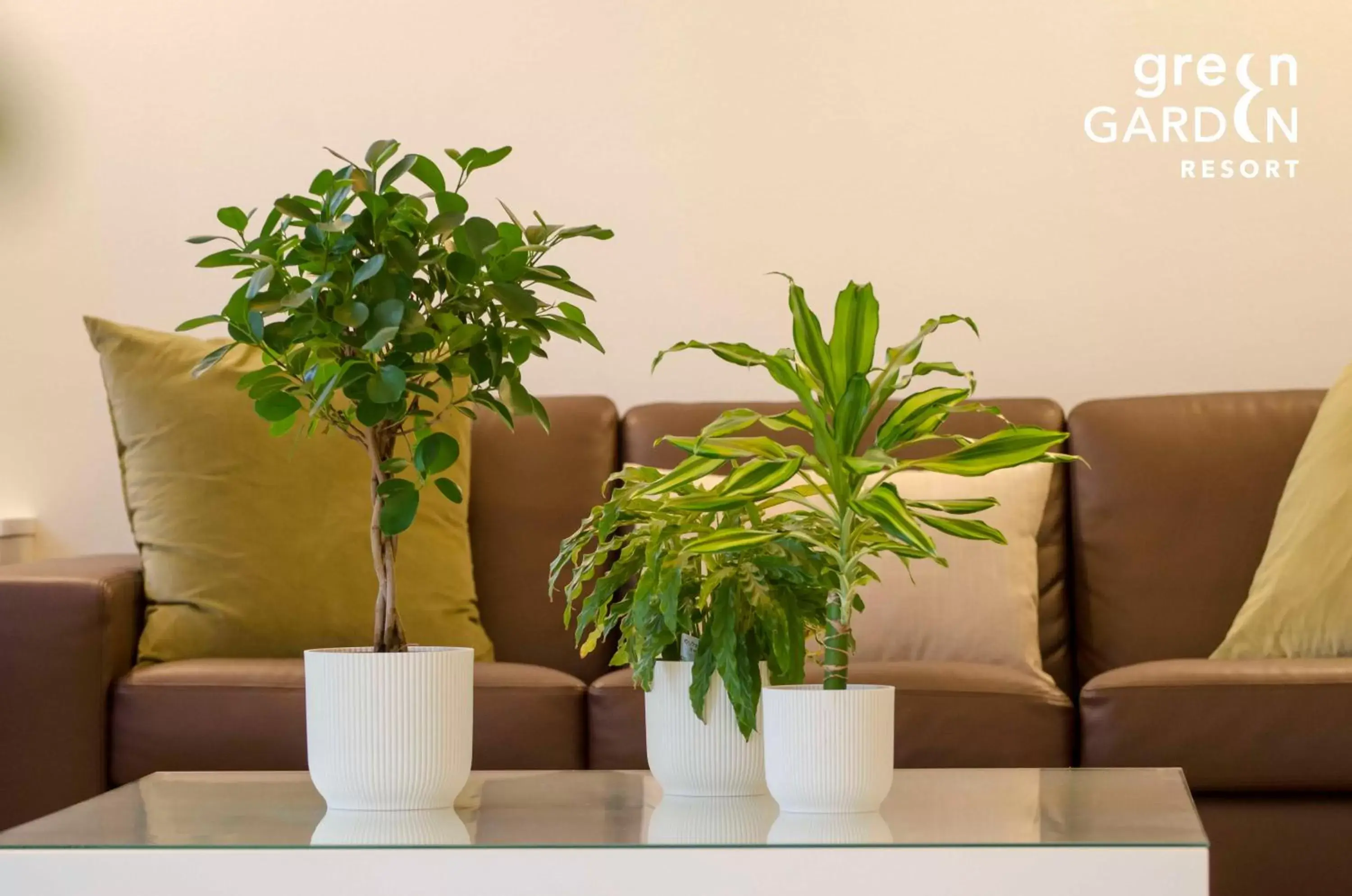 Lobby or reception, Seating Area in GREEN GARDEN Resort - Smart Hotel