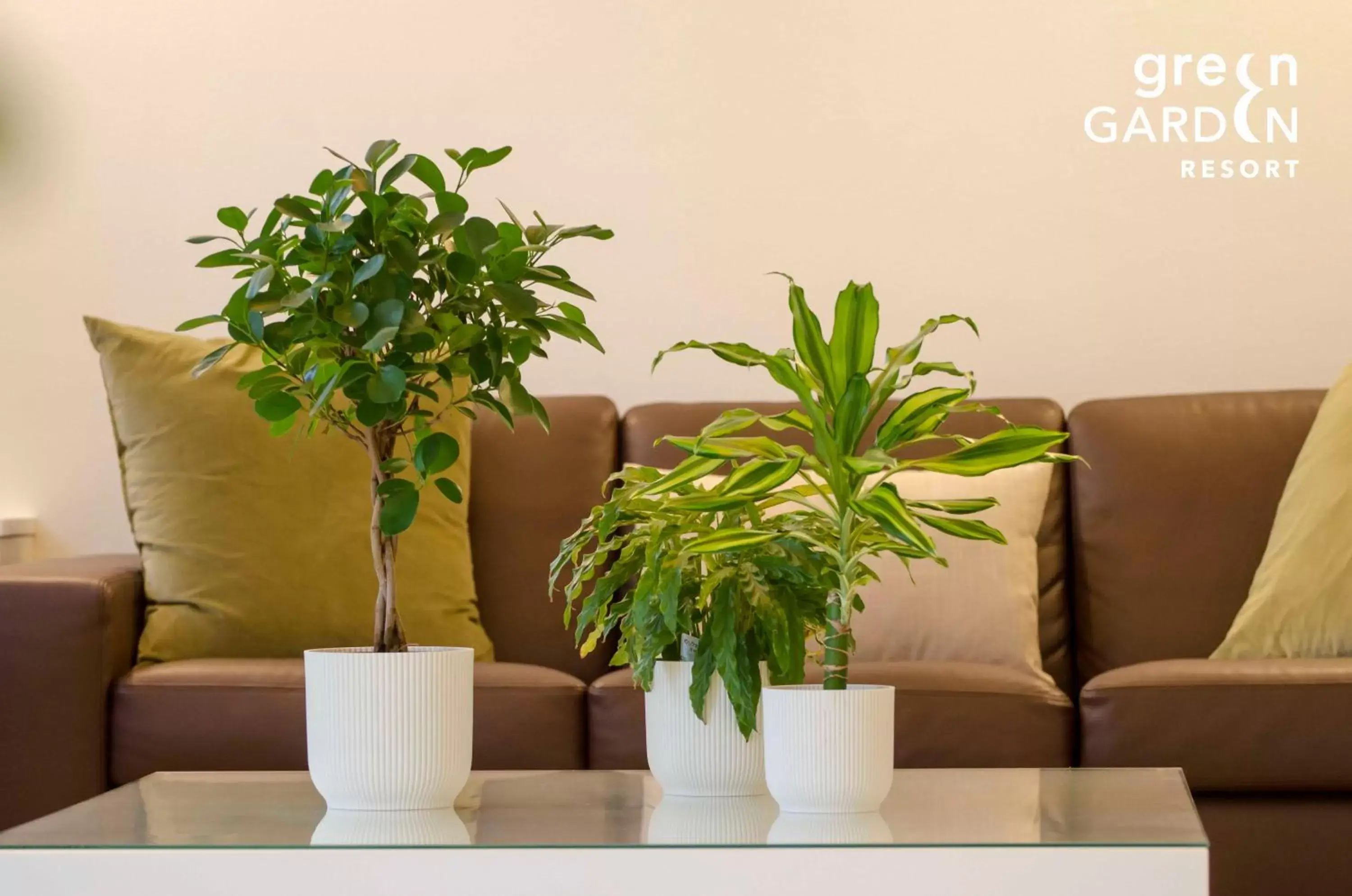 Lobby or reception in GREEN GARDEN Resort - Smart Hotel Lobby or reception in GREEN GARDEN Resort - Smart Hotel