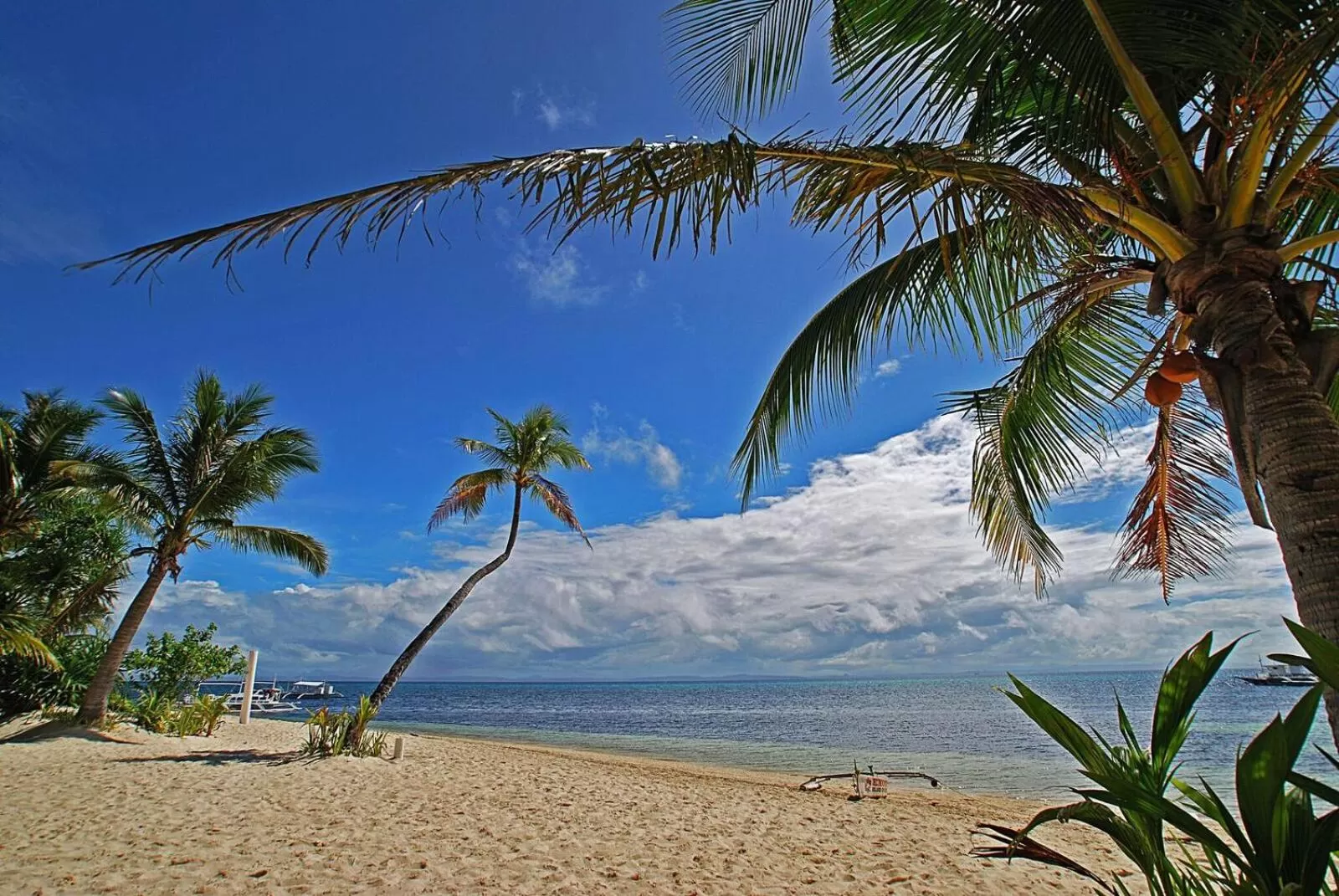 Beach in Malapascua Exotic Island Dive Resort