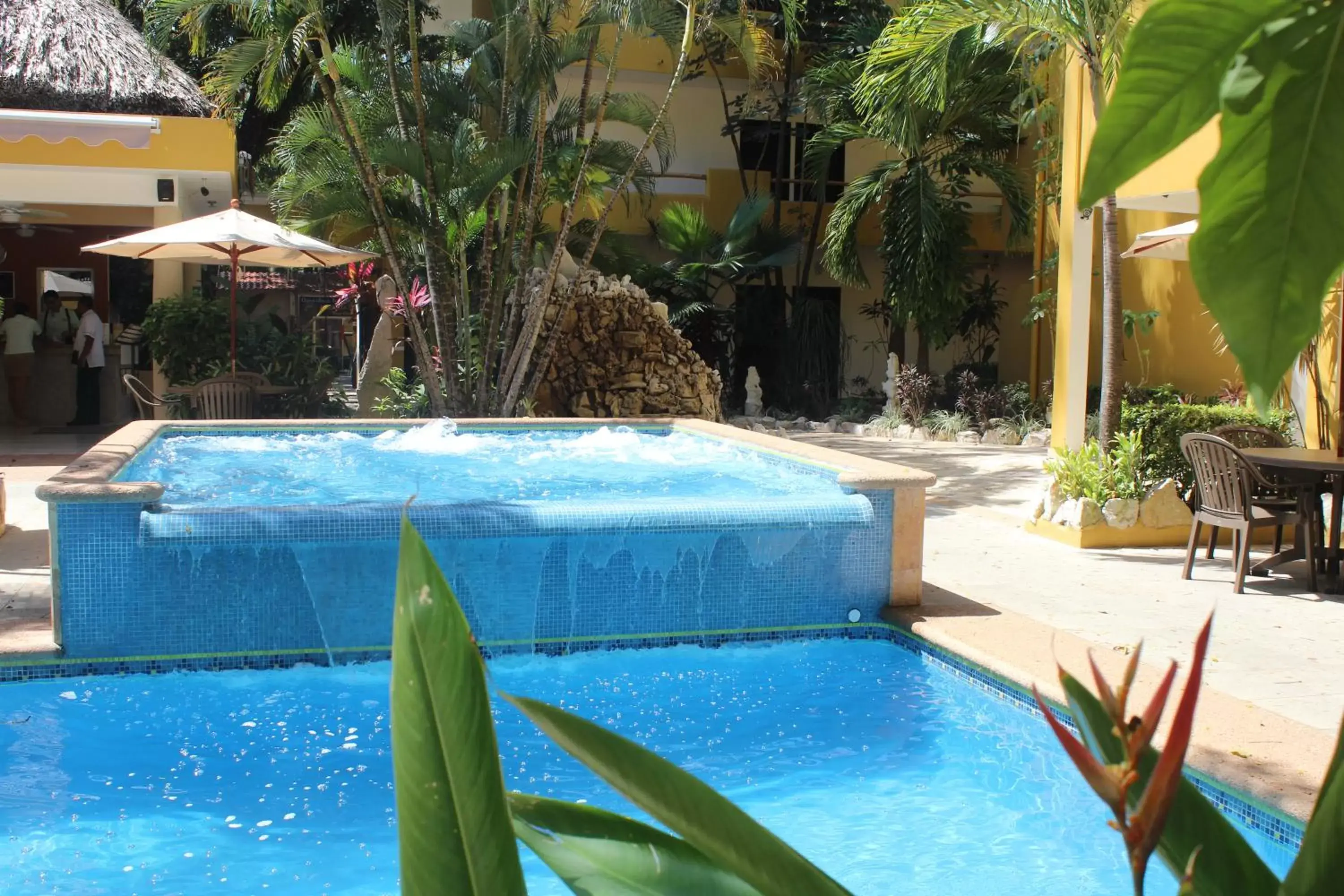 Garden, Swimming Pool in Hotel Chablis Palenque