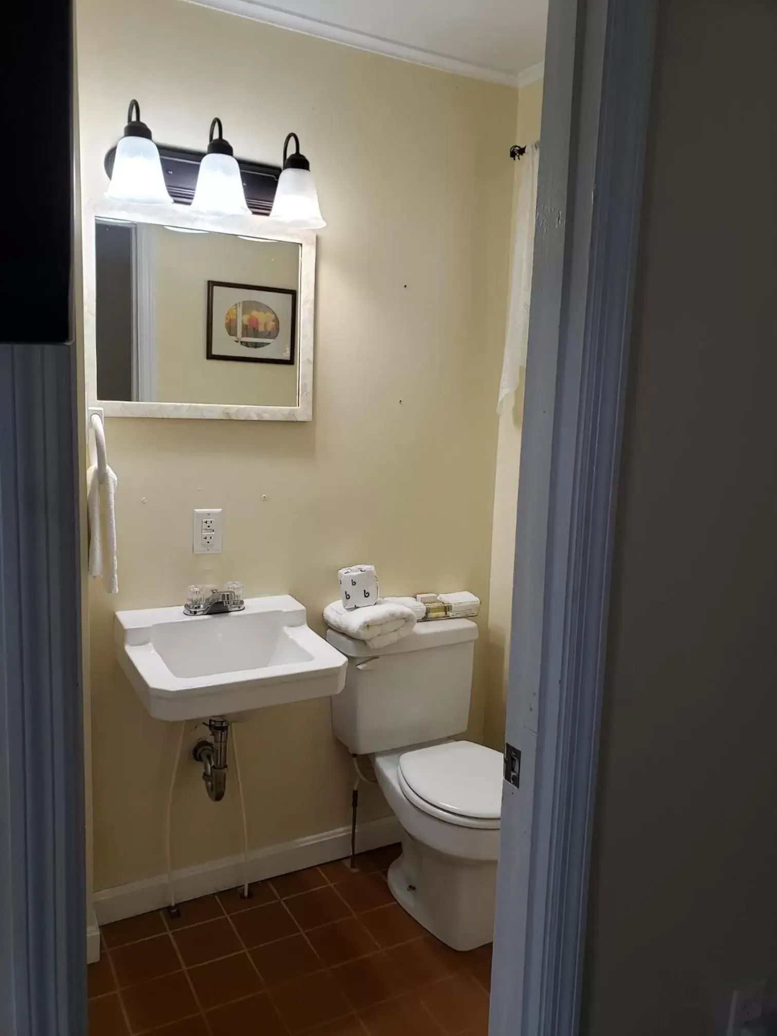 Bathroom in Blue Ridge Motel