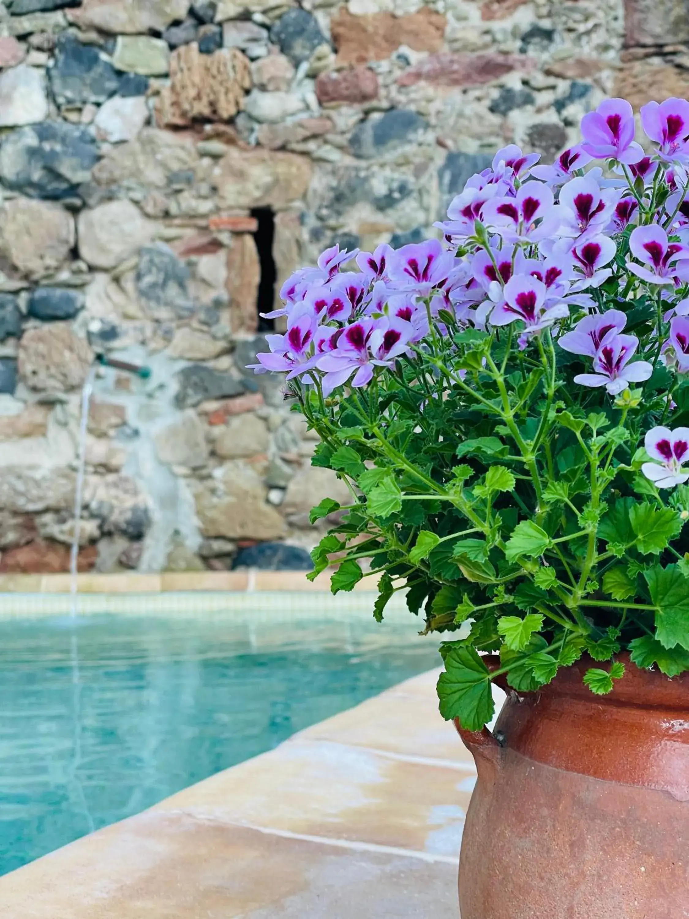 Swimming Pool in Hotel Cal Sastre