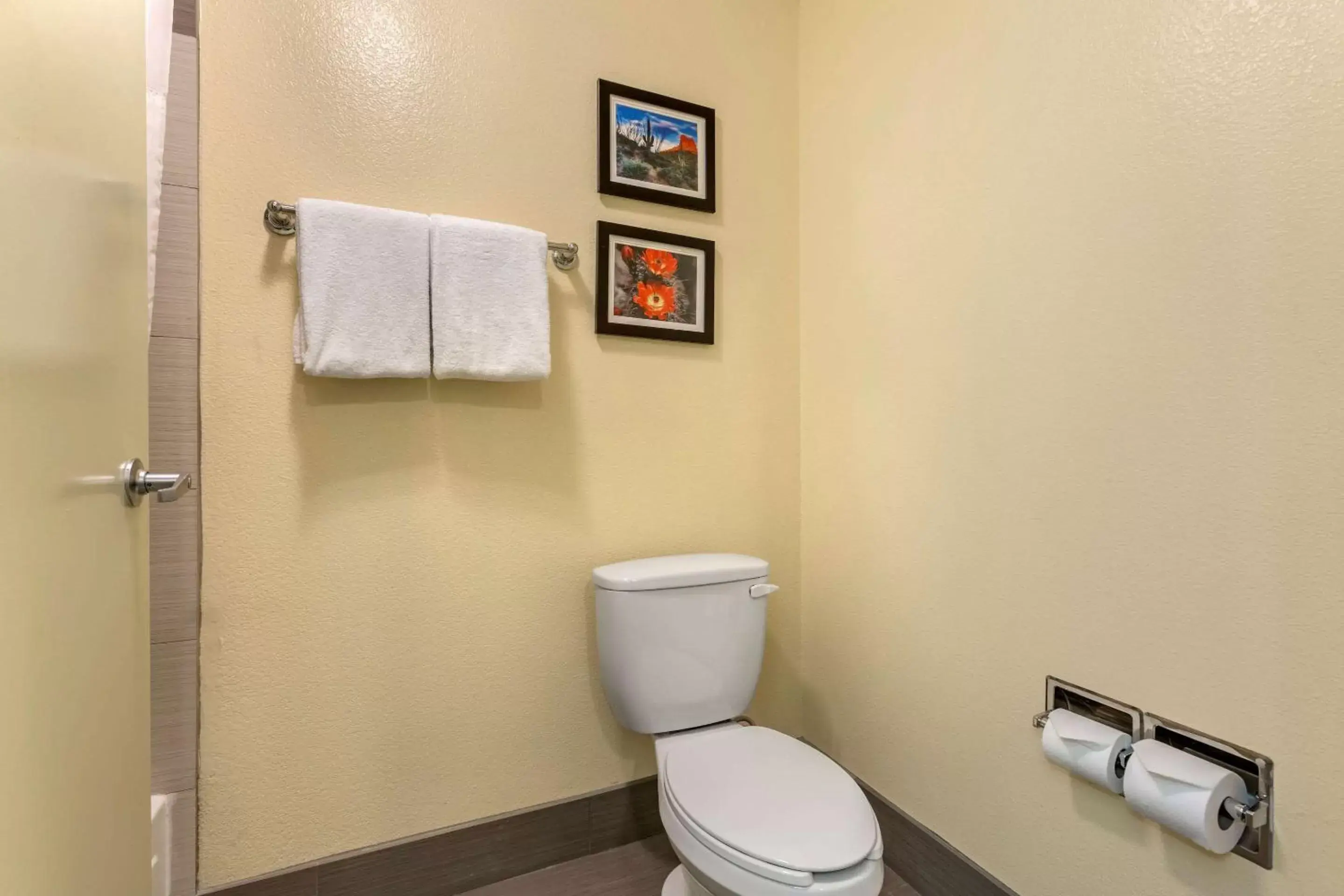 Photo of the whole room, Bathroom in Comfort Inn Chandler - Phoenix South I-10