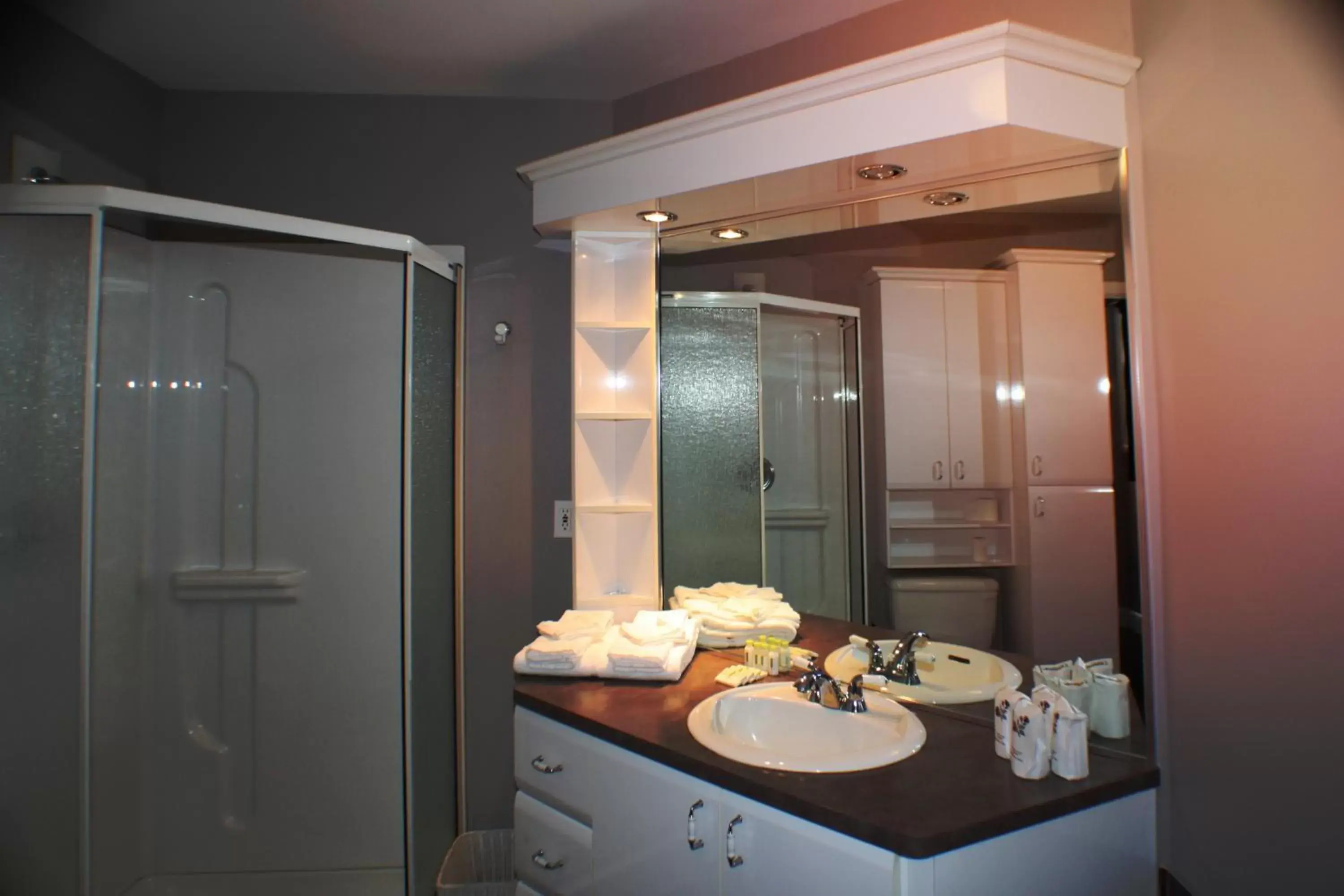 Shower, Bathroom in Auberge du sportif