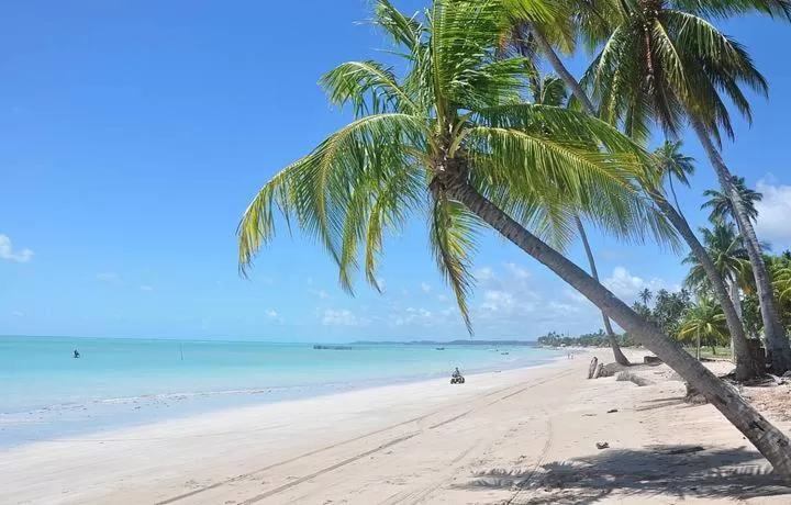 Beach in Pousada Gamela do Maragogi