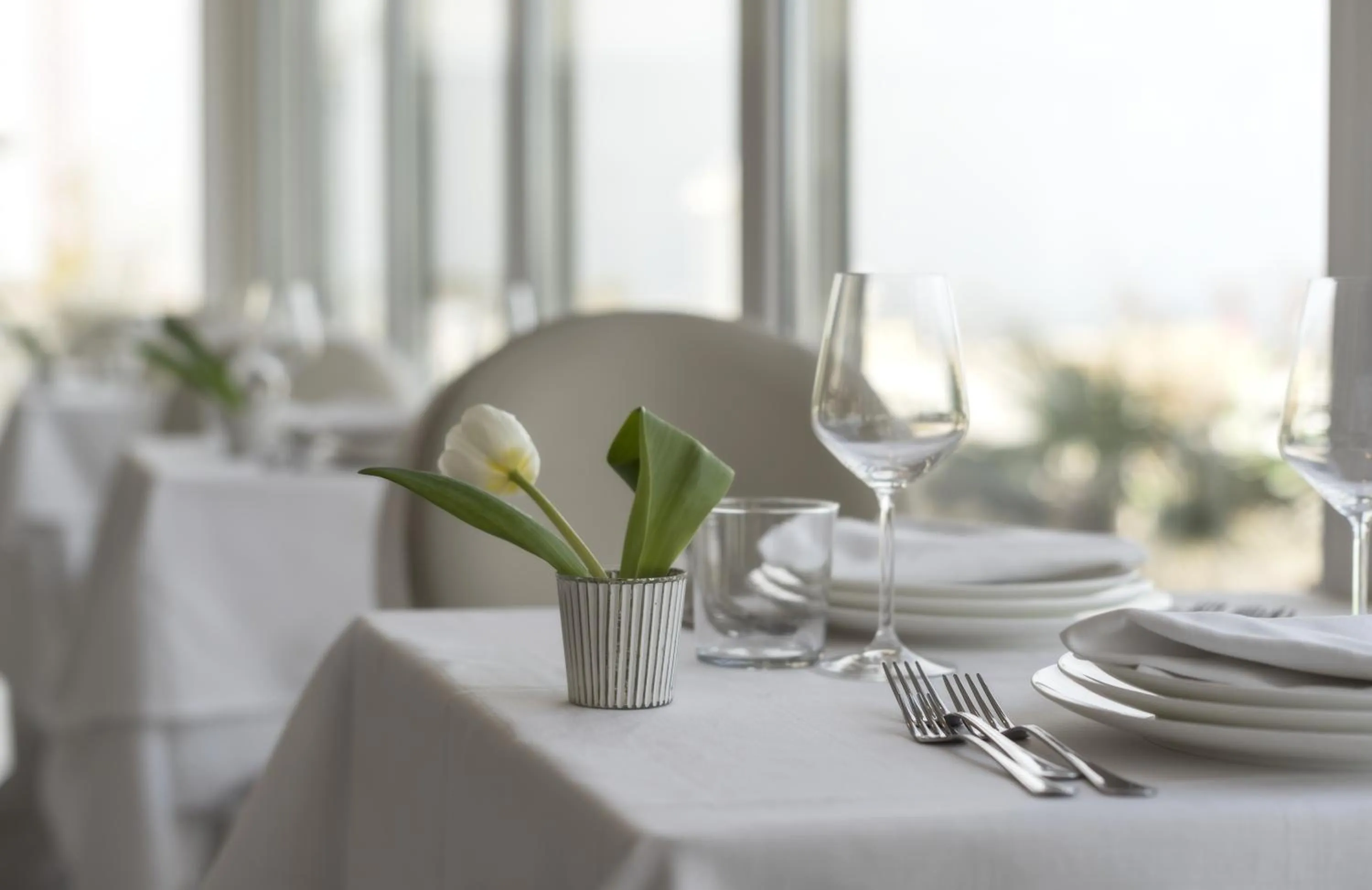 Restaurant/places to eat in Hotel Tiffany's