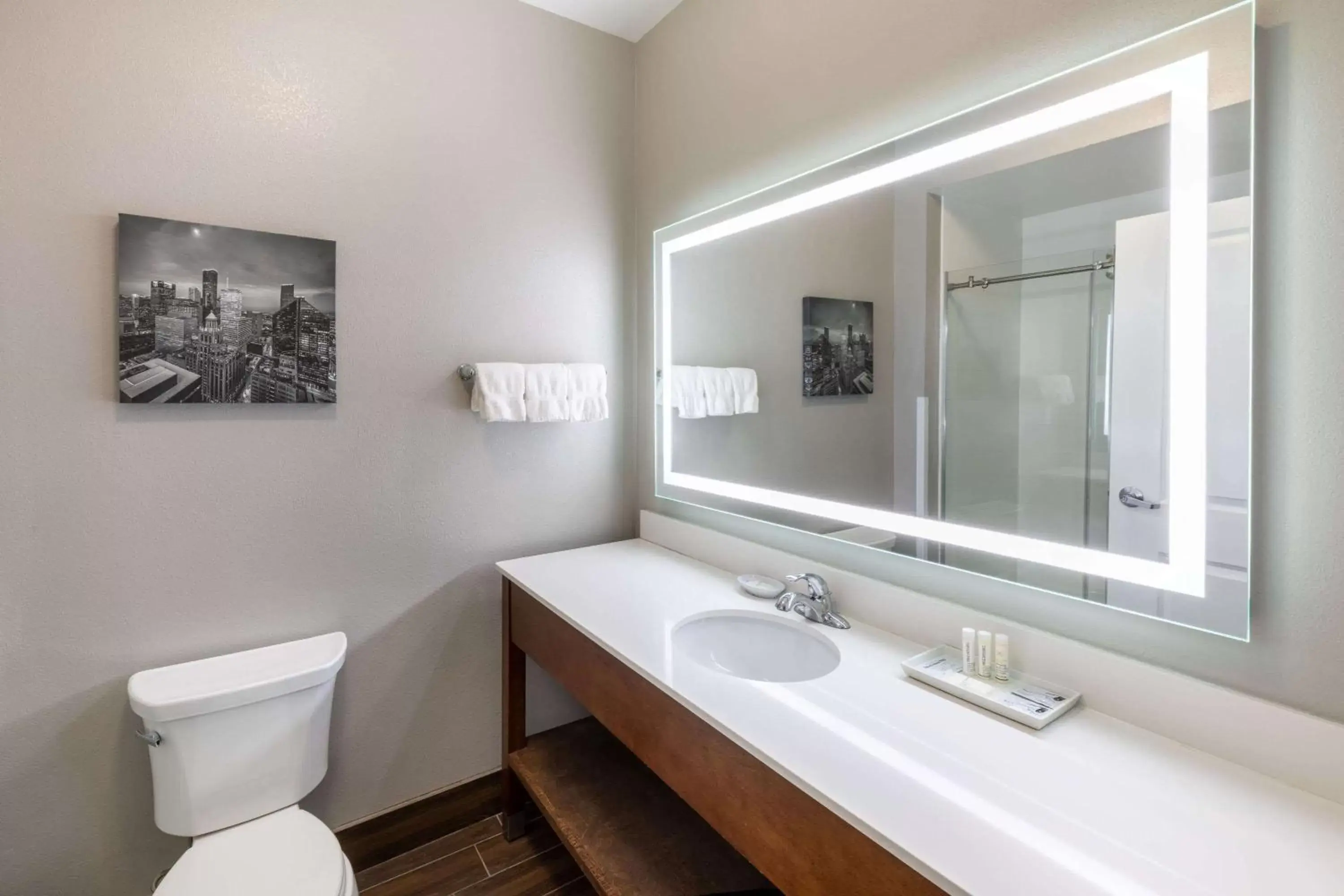 Bathroom in La Quinta by Wyndham Houston NW Beltway8/WestRD