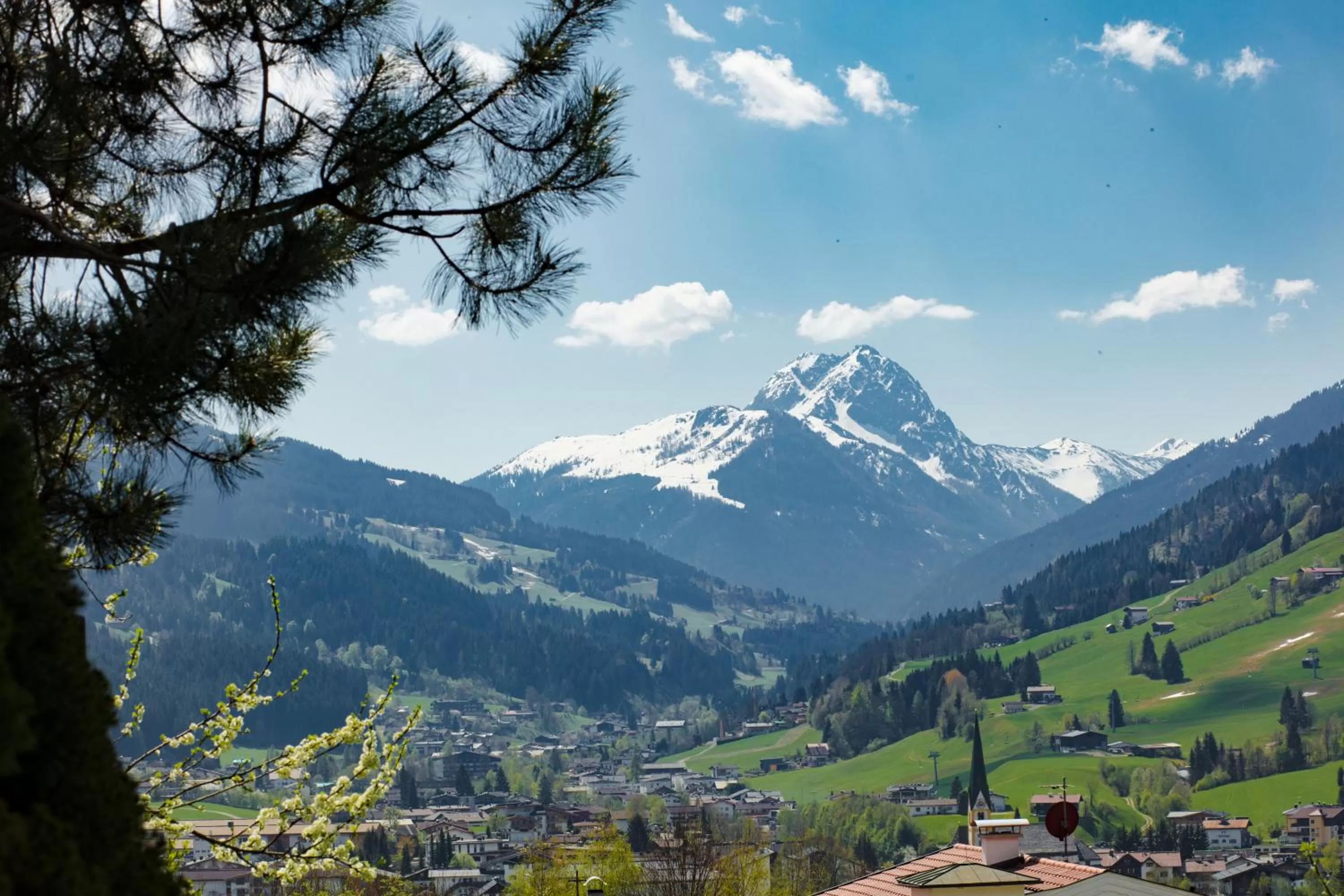 Natural landscape in Hotel Garni Wieshof