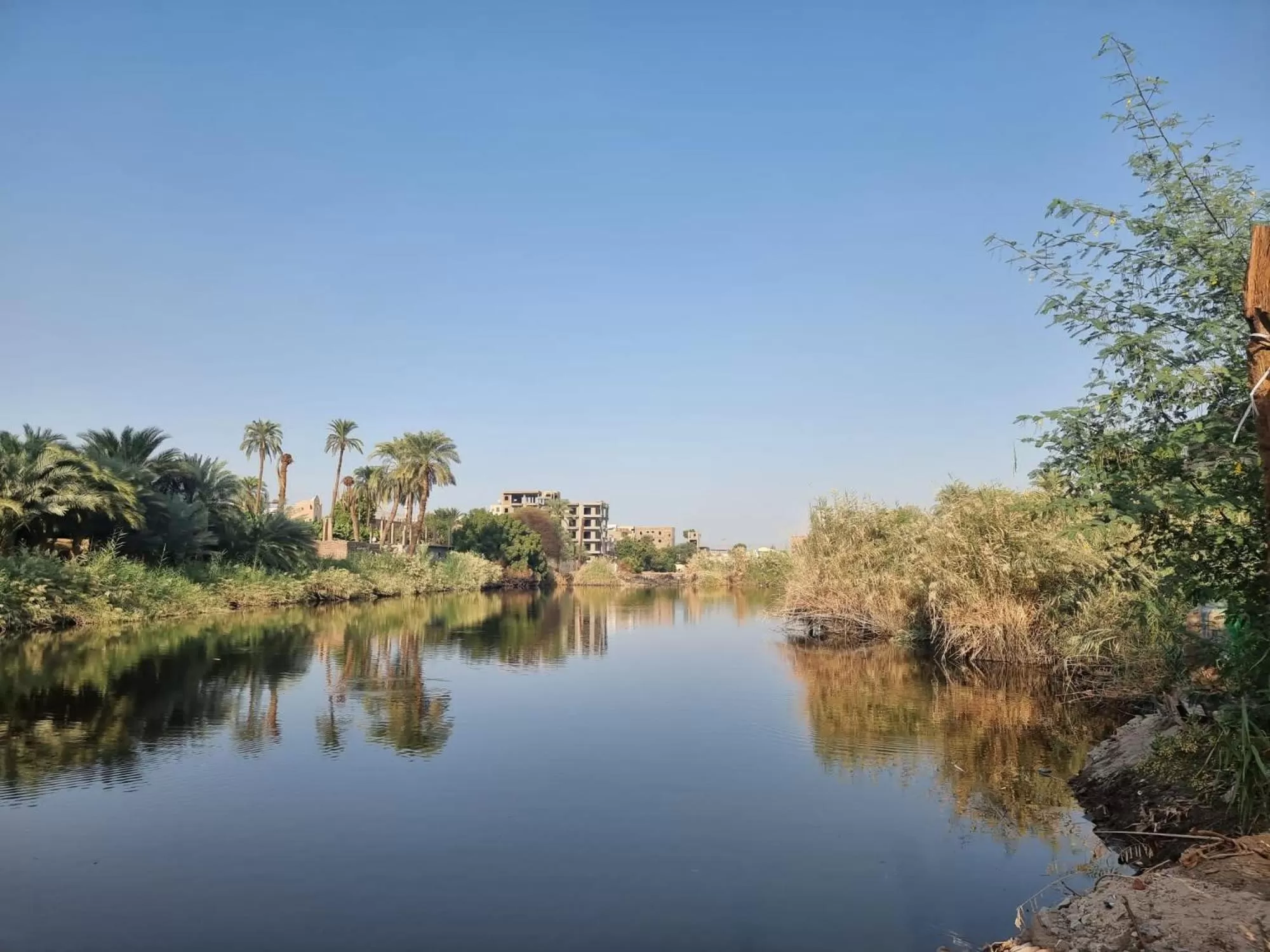 Deluxe Double Room in Luxor Old Nile Hotel