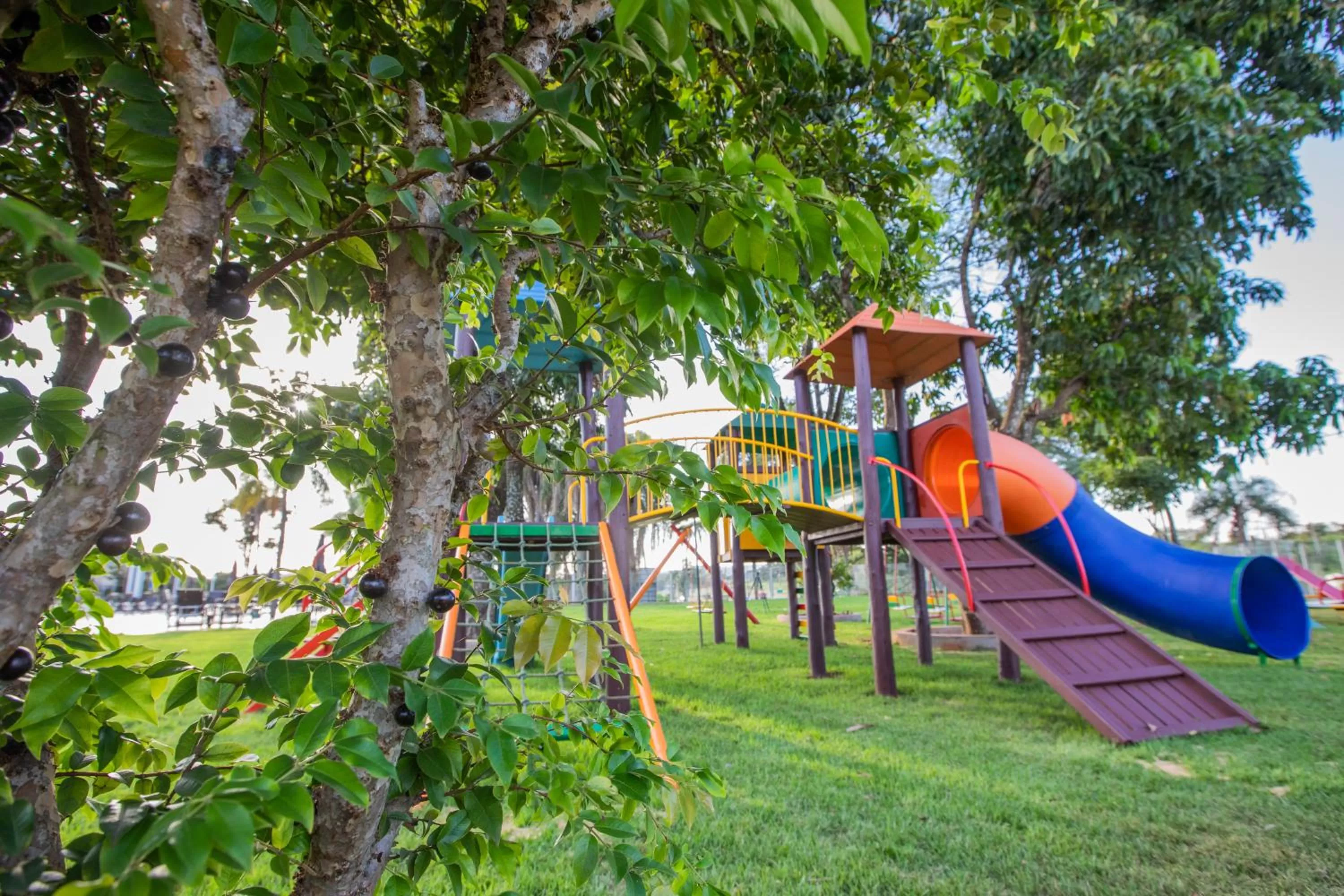 Children play ground in Grand Carimã Resort & Convention Center