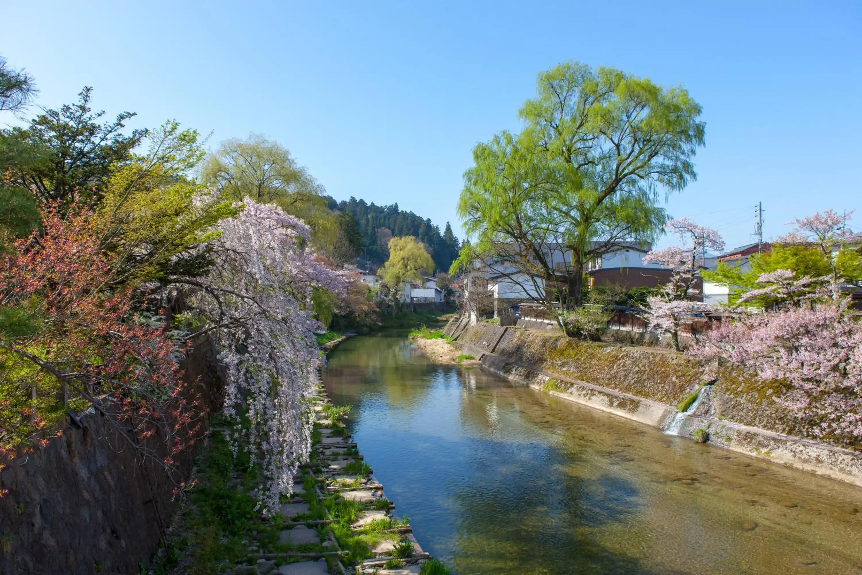 Wanosato Ryokan