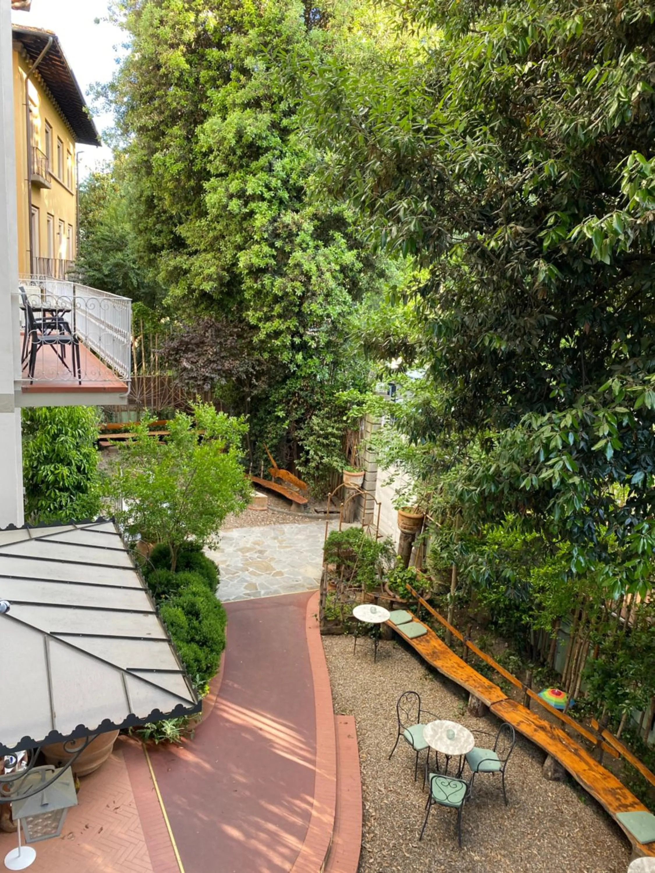 Garden in Hotel David