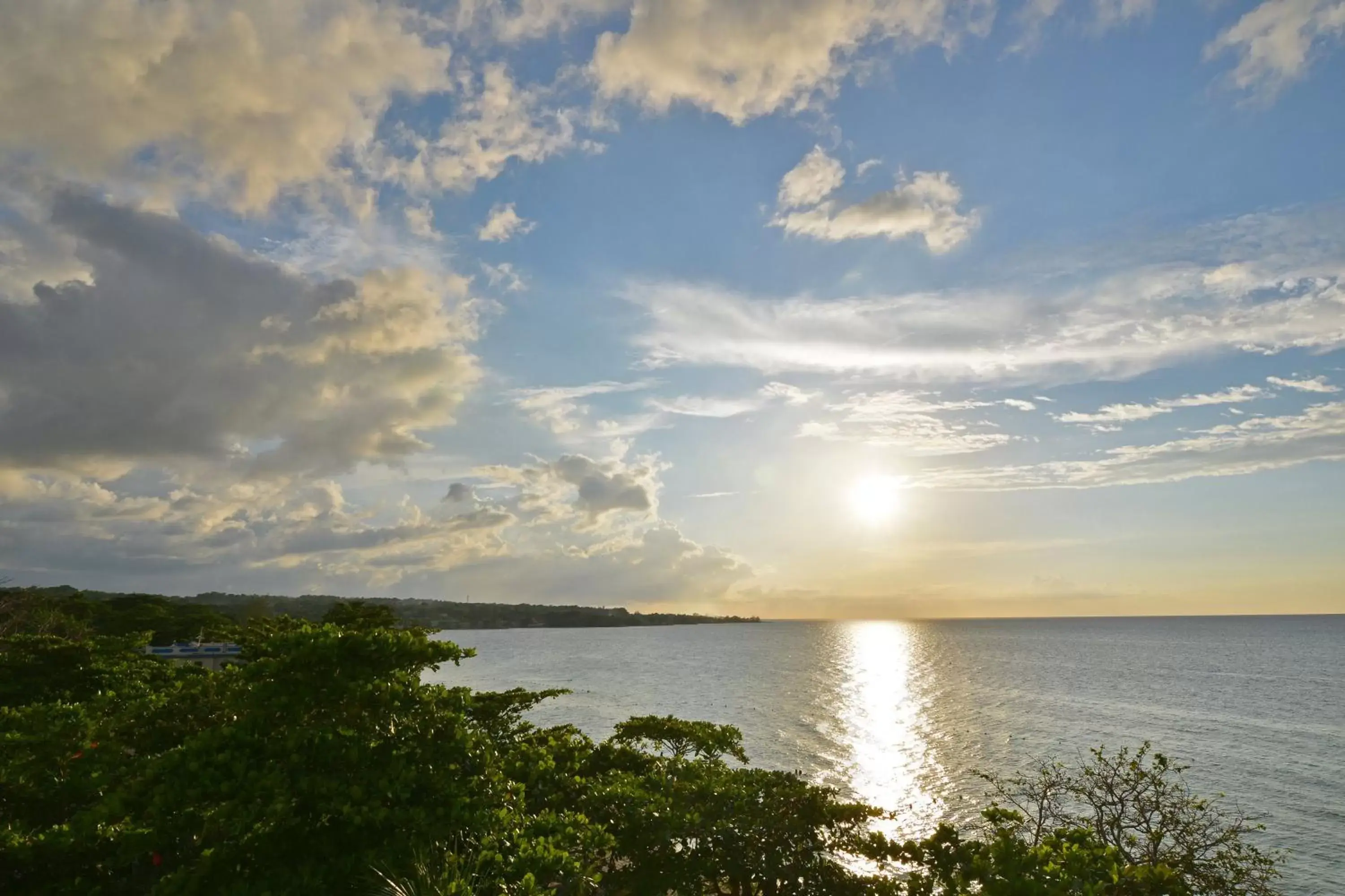 Natural landscape in Beach House Condos, Negril