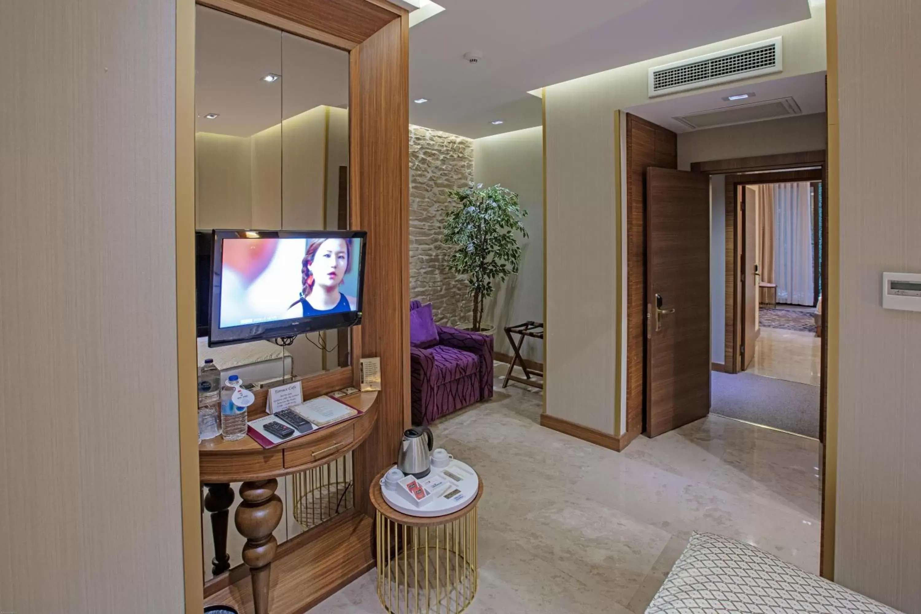 Bedroom, TV/Entertainment Center in Nowy Efendi Hotel - Special Category