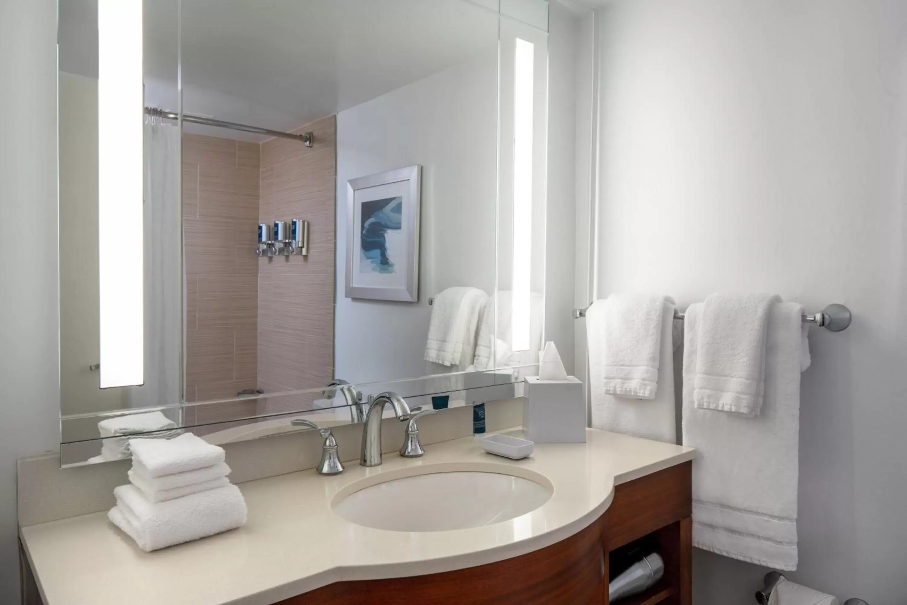 Bathroom in Four Points by Sheraton Suites Tampa Airport Westshore