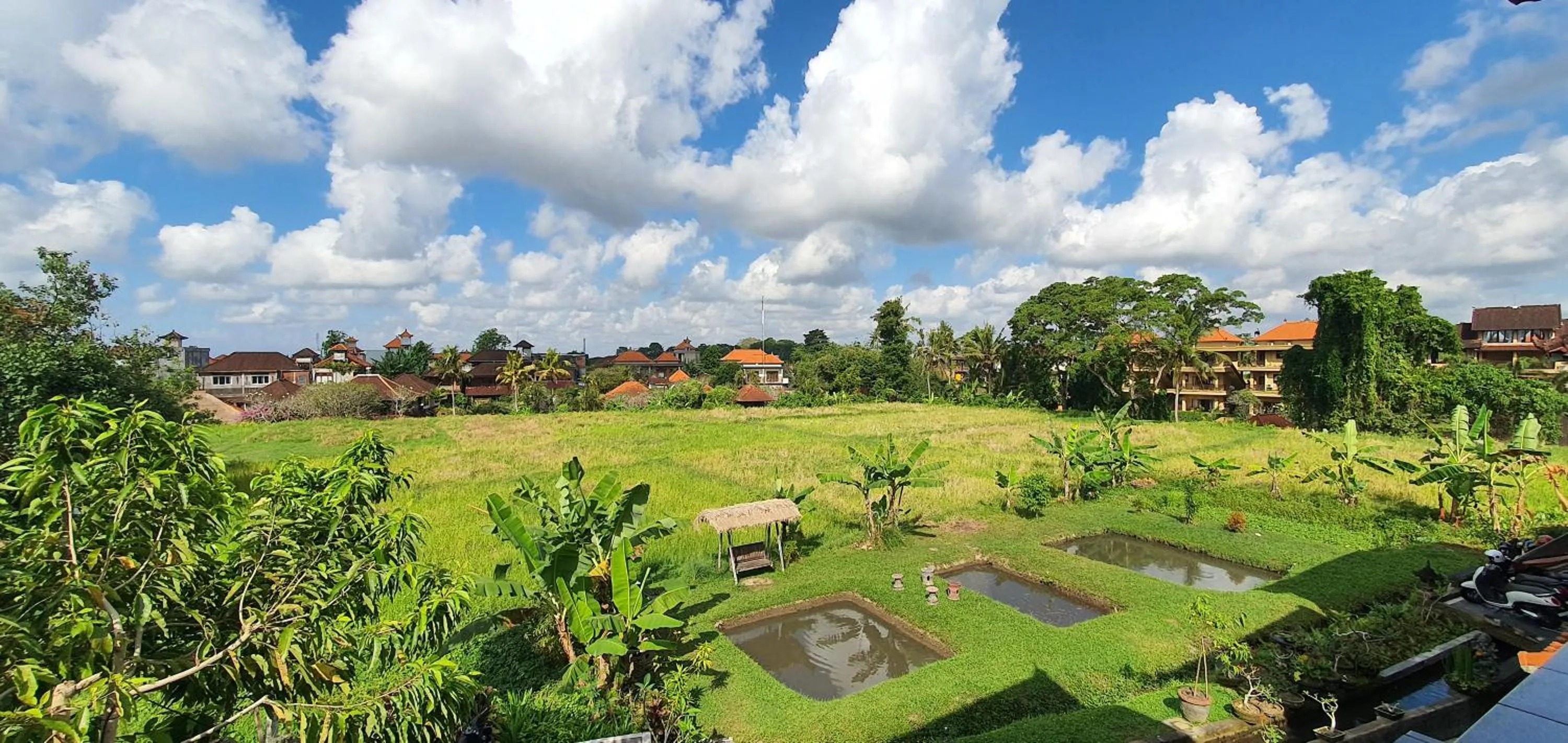 Natural landscape in Kun - Kun Guest House Ubud