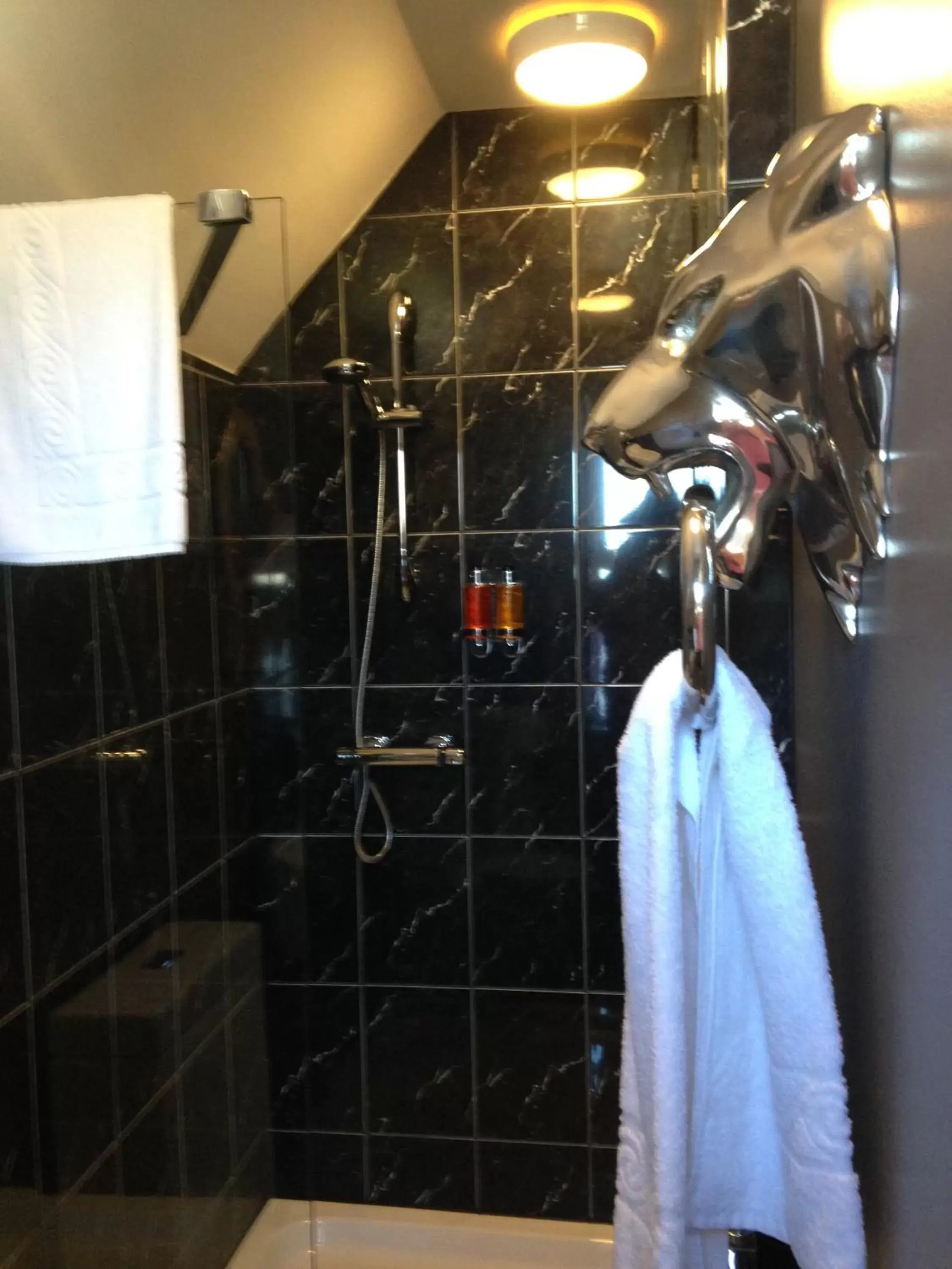 Shower, Bathroom in The White House Hotel