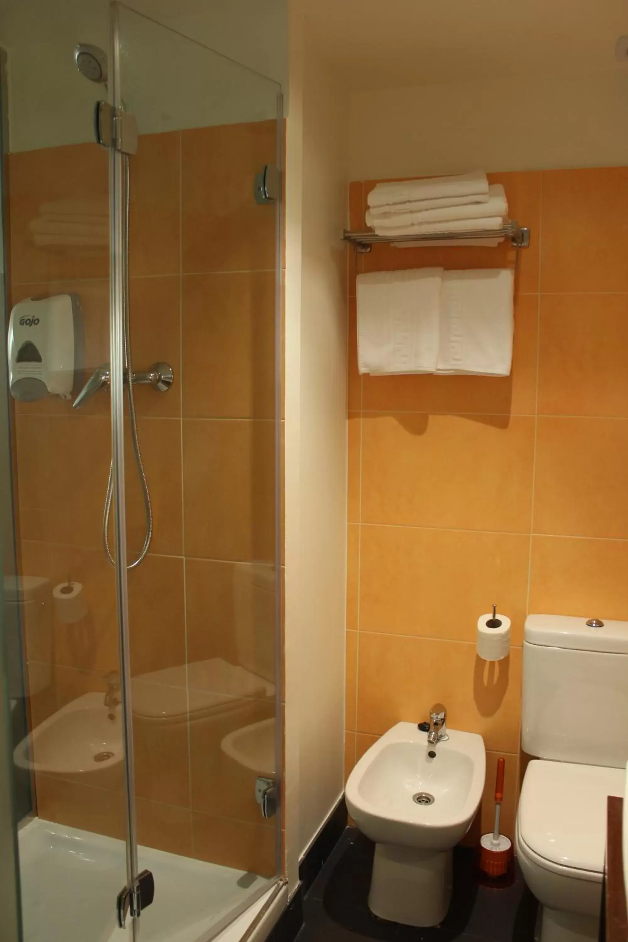 Toilet, Bathroom in Hotel Punta Monpas