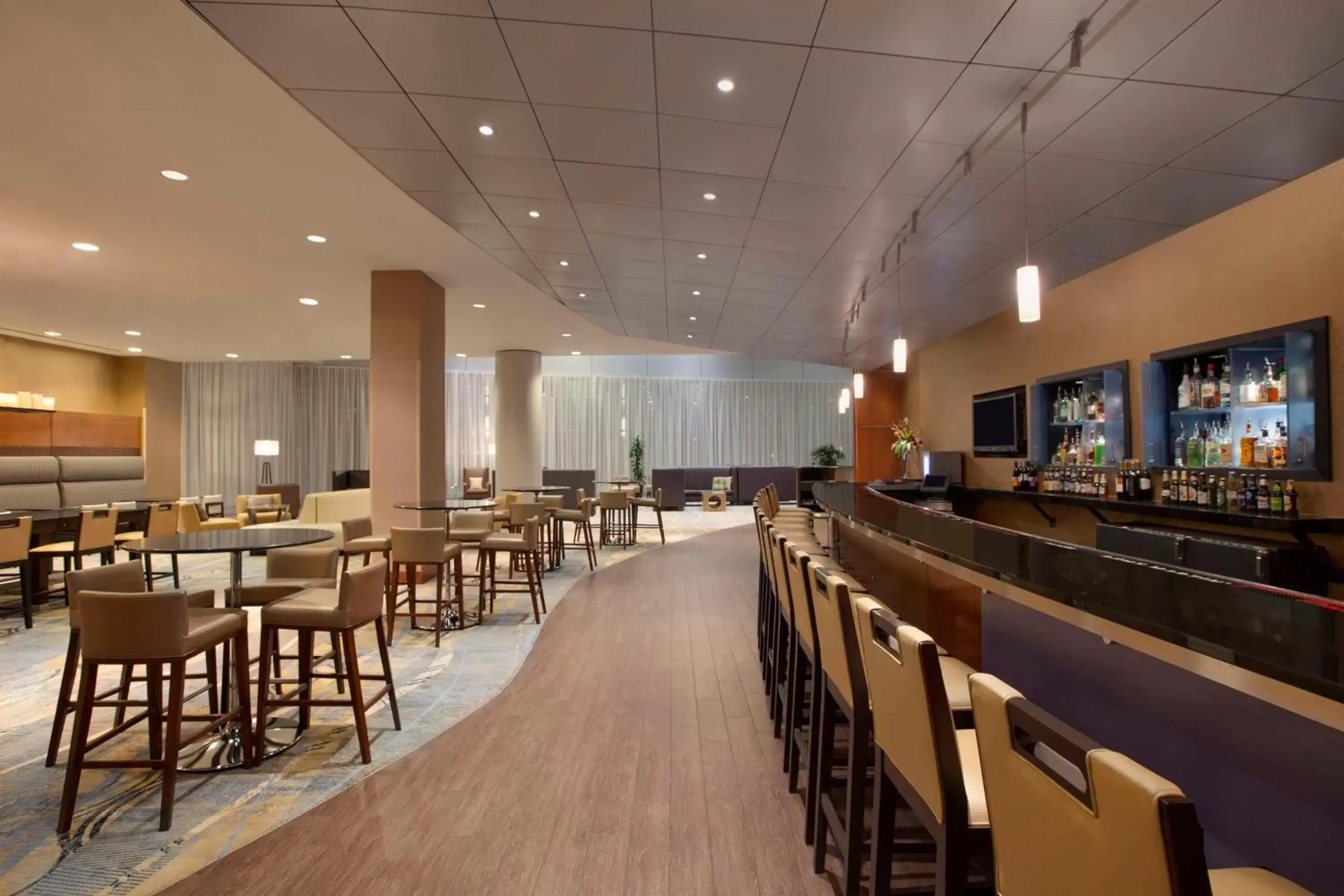 Lounge or bar, Restaurant/Places to Eat in Hilton Baltimore BWI Airport