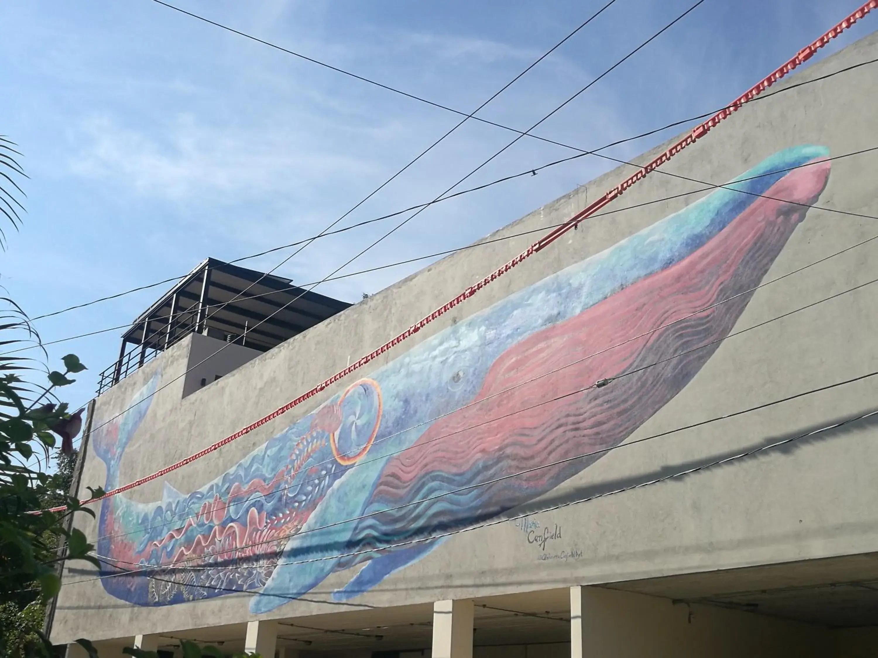 Facade/entrance, Property Building in Casa de la Ballena