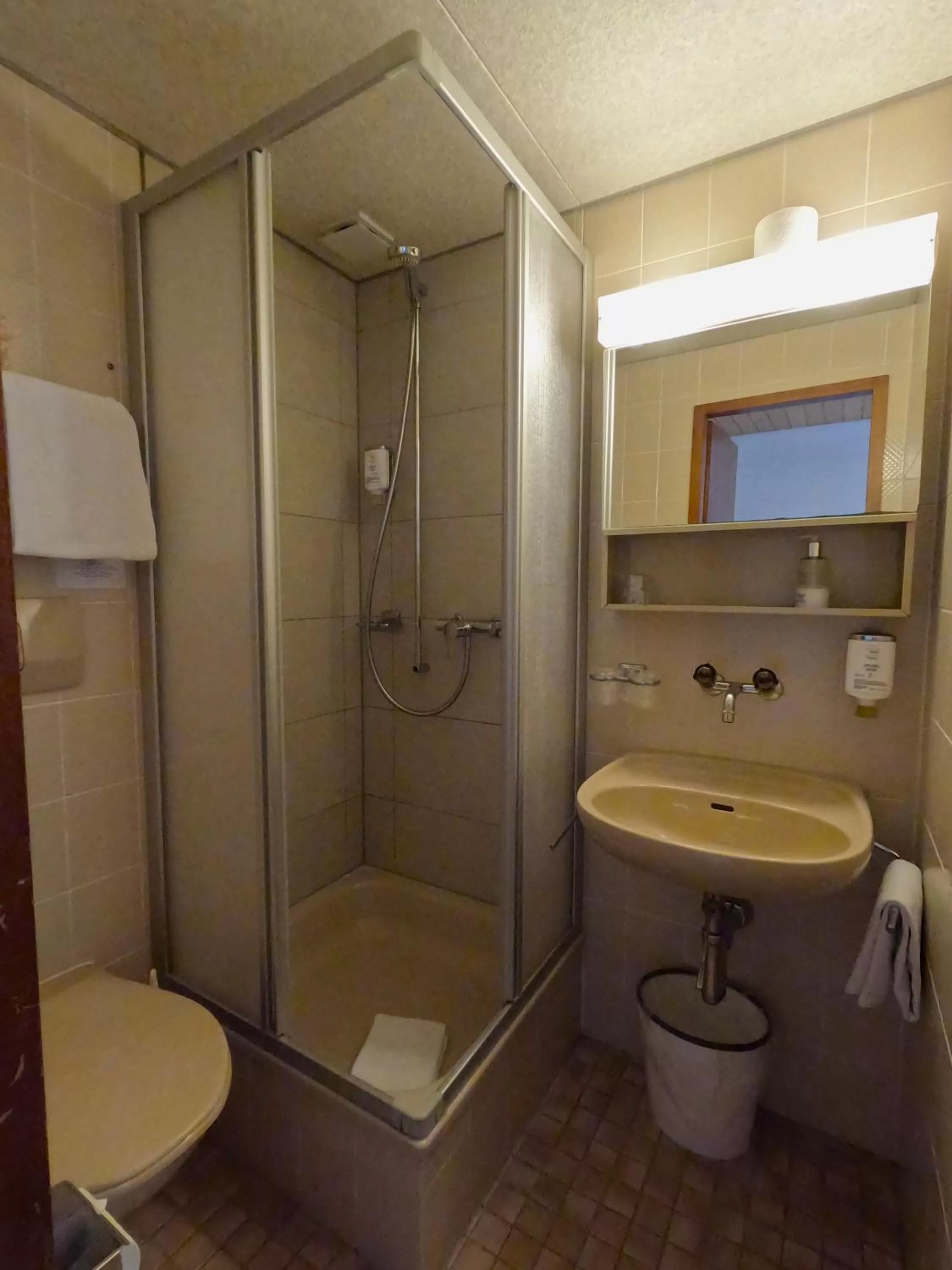 Shower in Alpenrose Hotel and Gardens