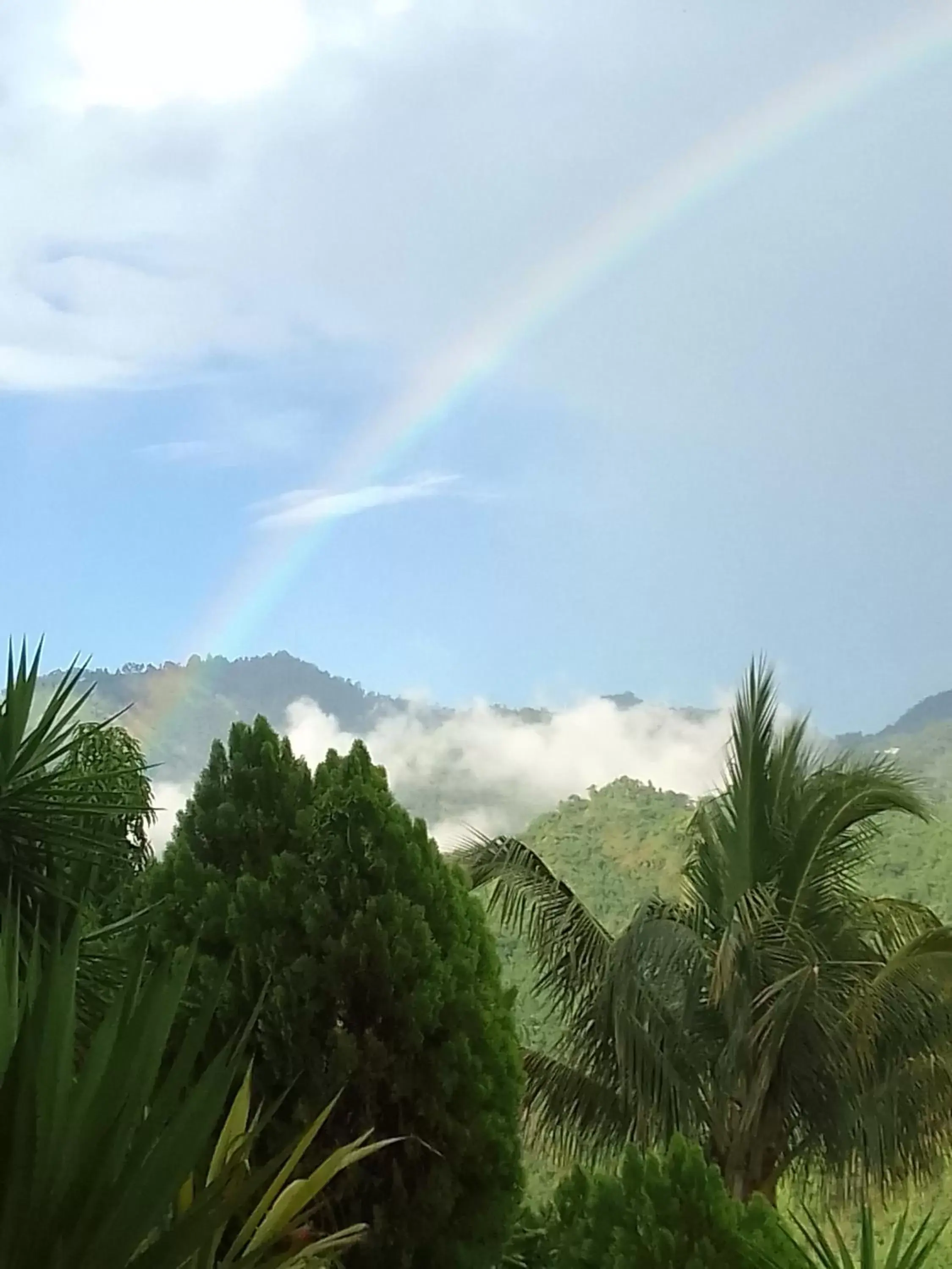 Day, Mountain View in Tranquility Estate