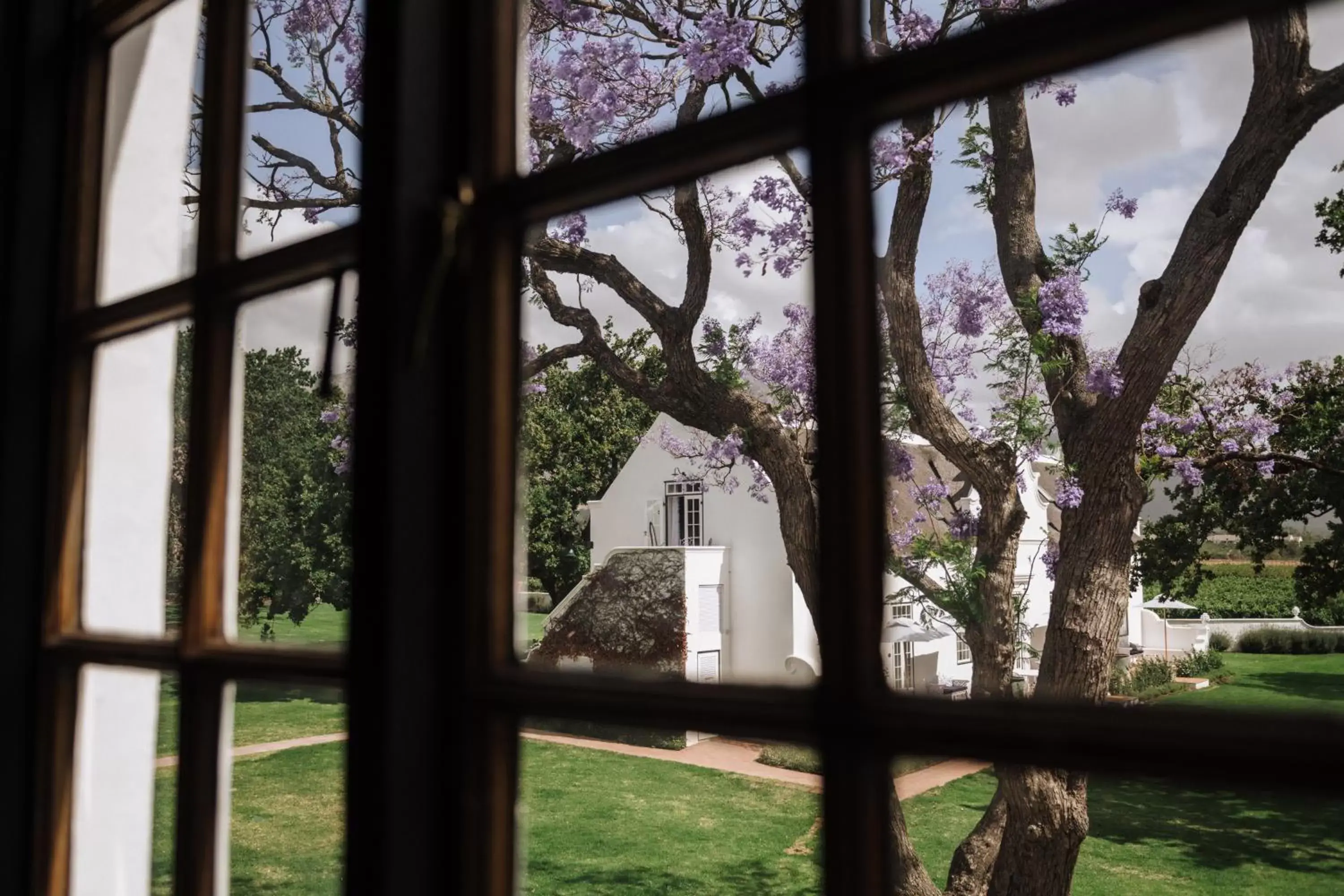 View (from property/room) in Adara Palmiet Valley Luxurious Boutique Farm Hotel