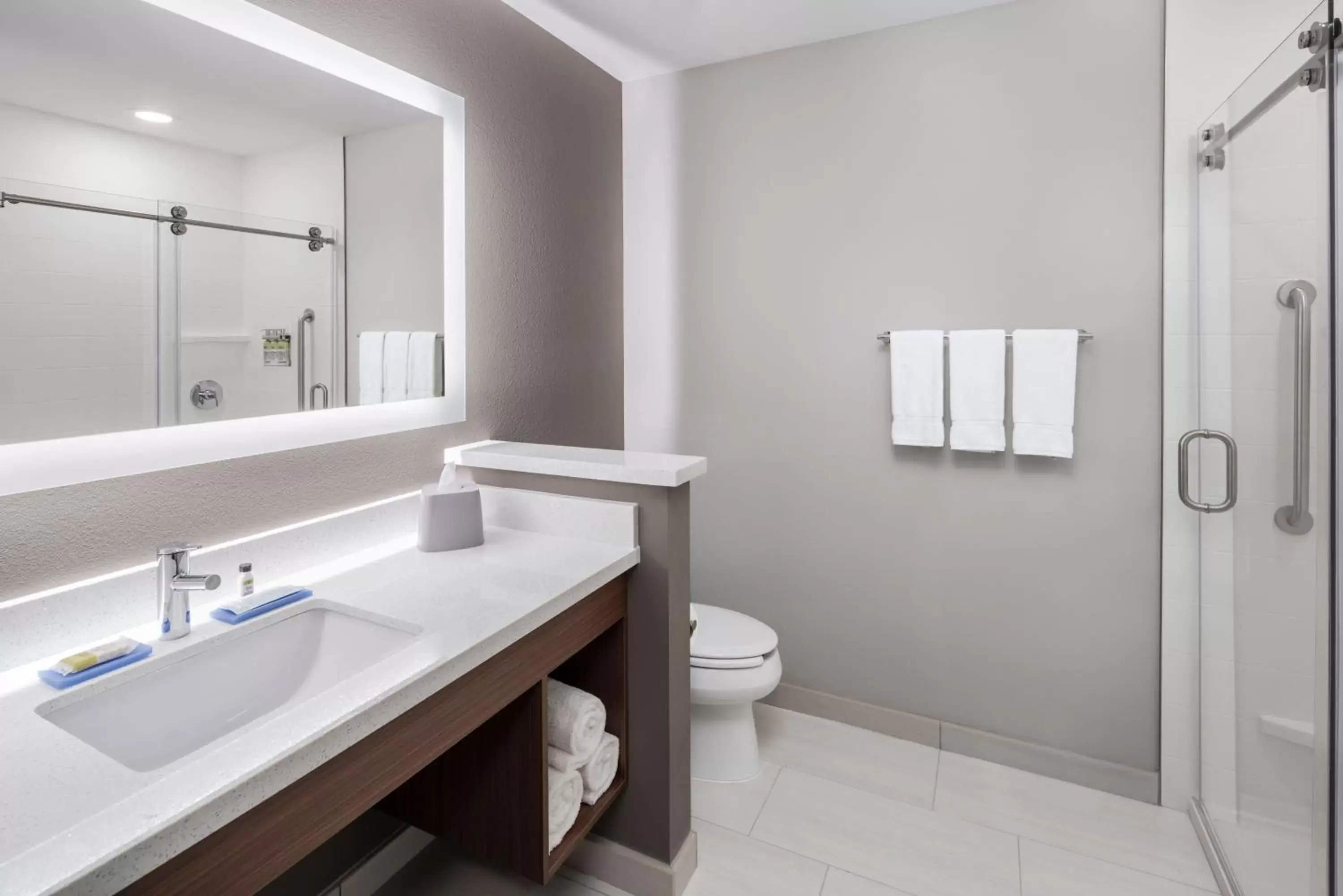 Bathroom in Holiday Inn Express & Suites - Odessa I-20, an IHG Hotel