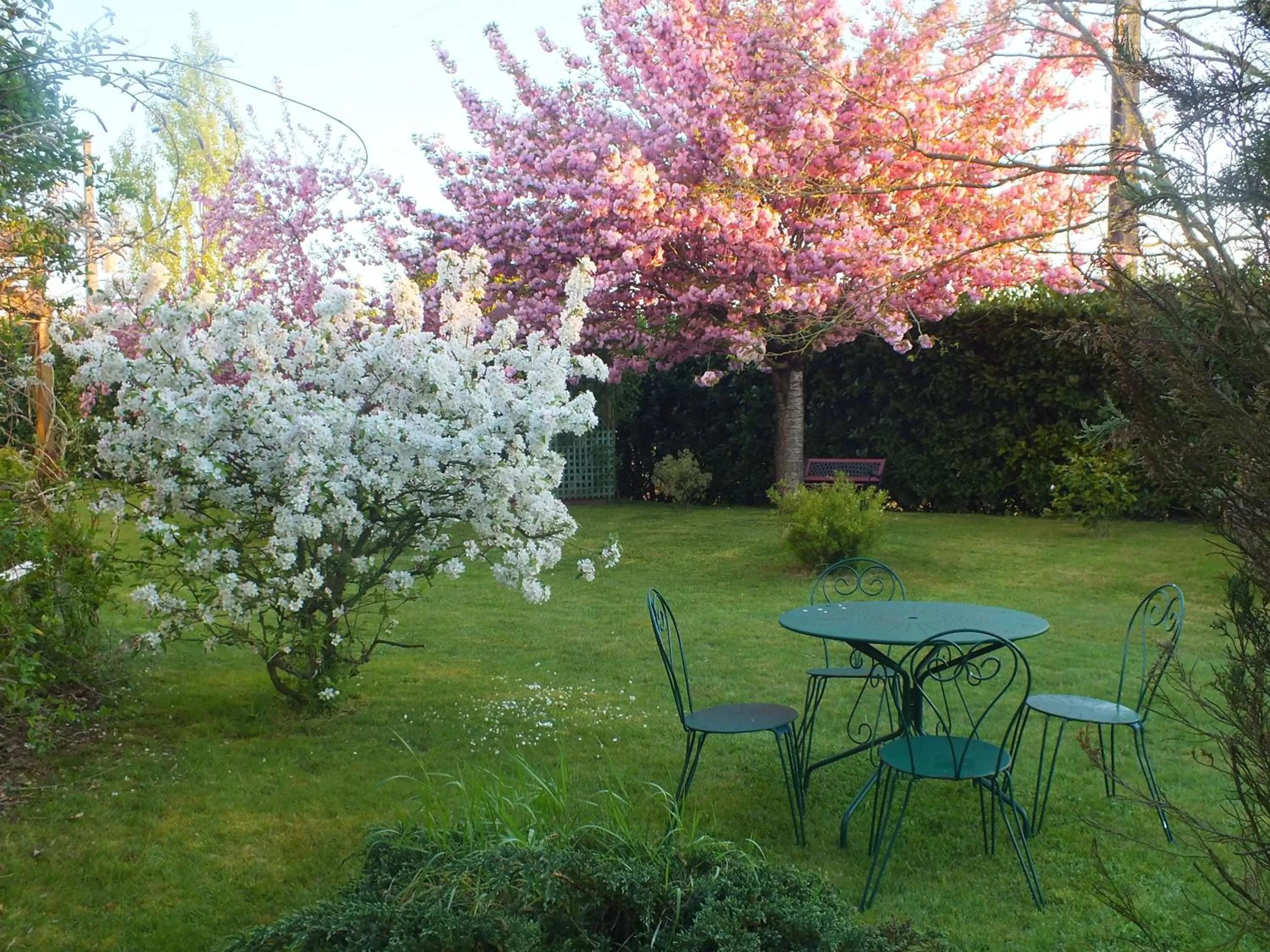 Garden view in Le Mareuillais Hotel-Restaurant