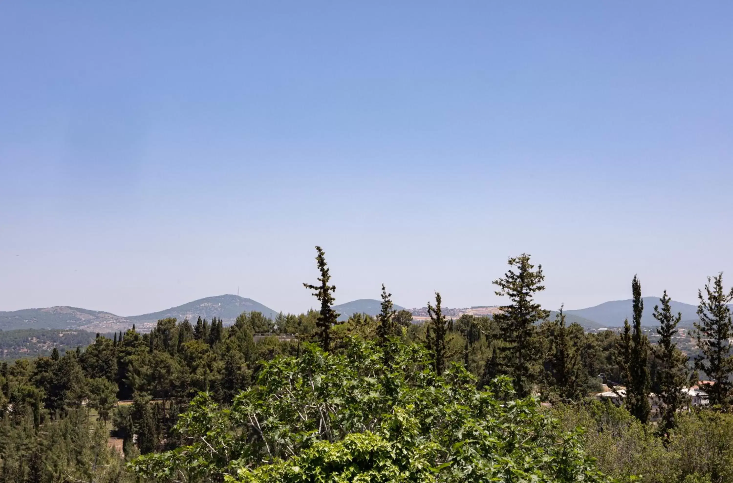 Natural landscape in Hacienda Forest View Hotel