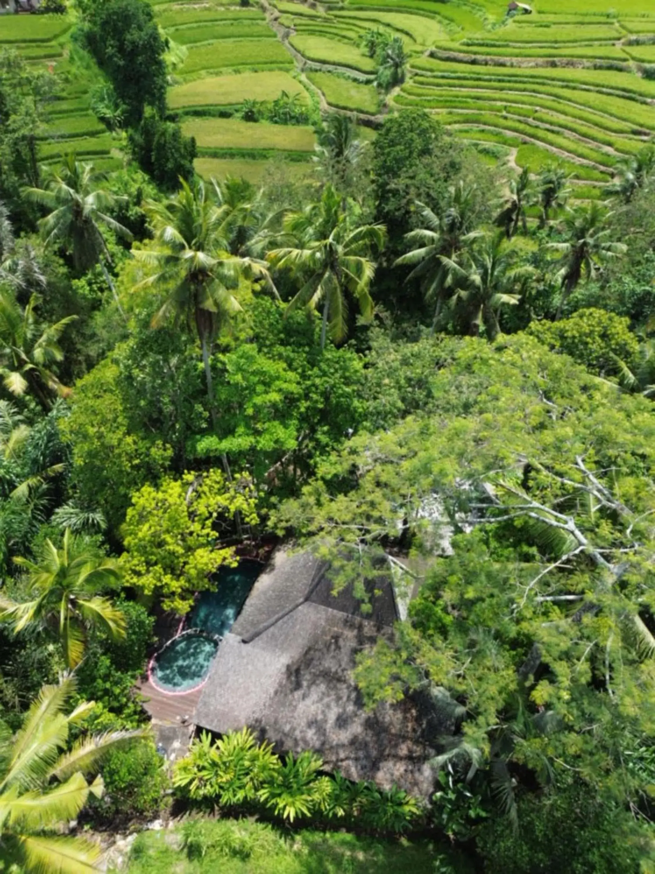 River view, Bird's-eye View in PERMATA AYUNG PRIVATE ESTATE