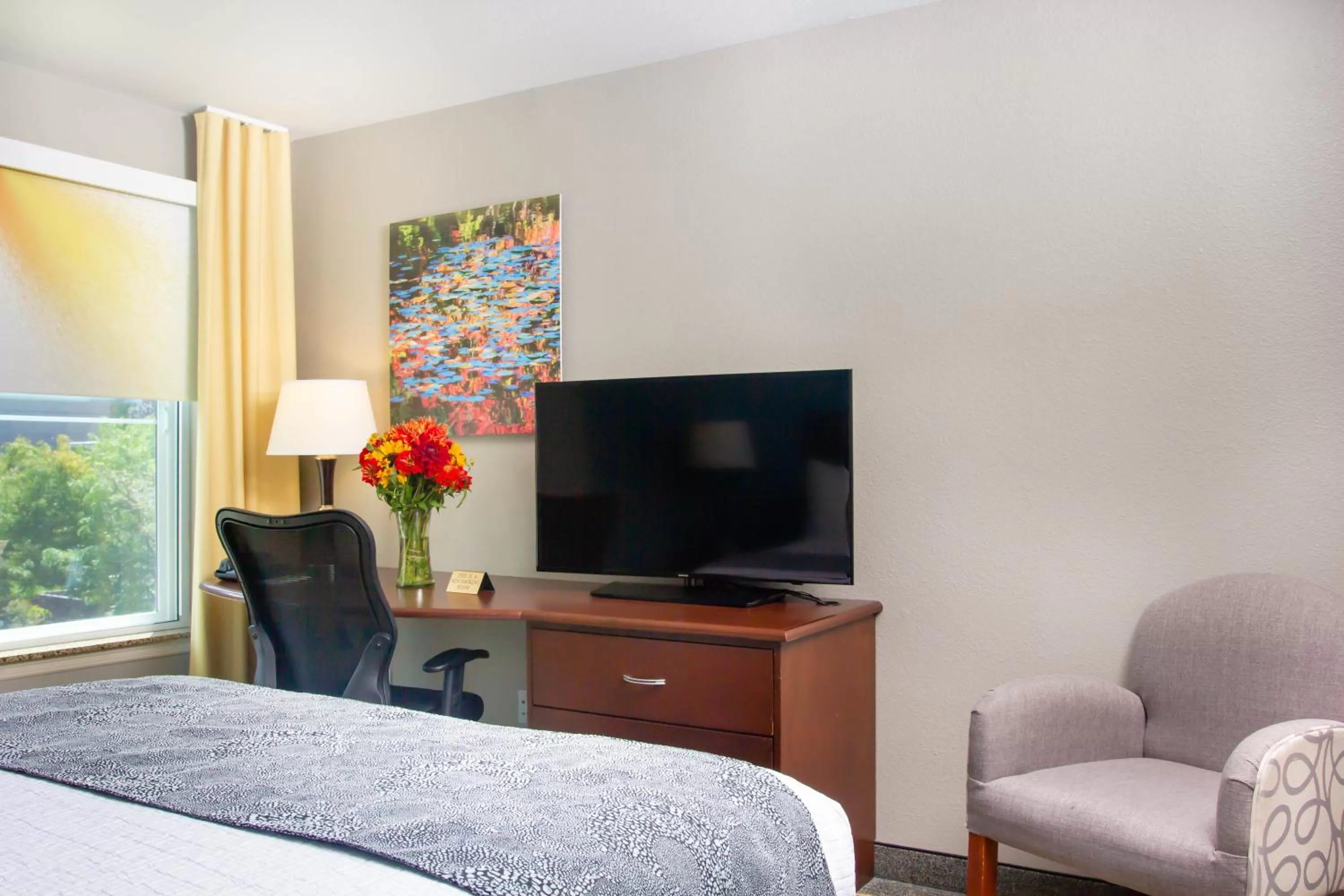 TV and multimedia, Bed in Belltown Inn