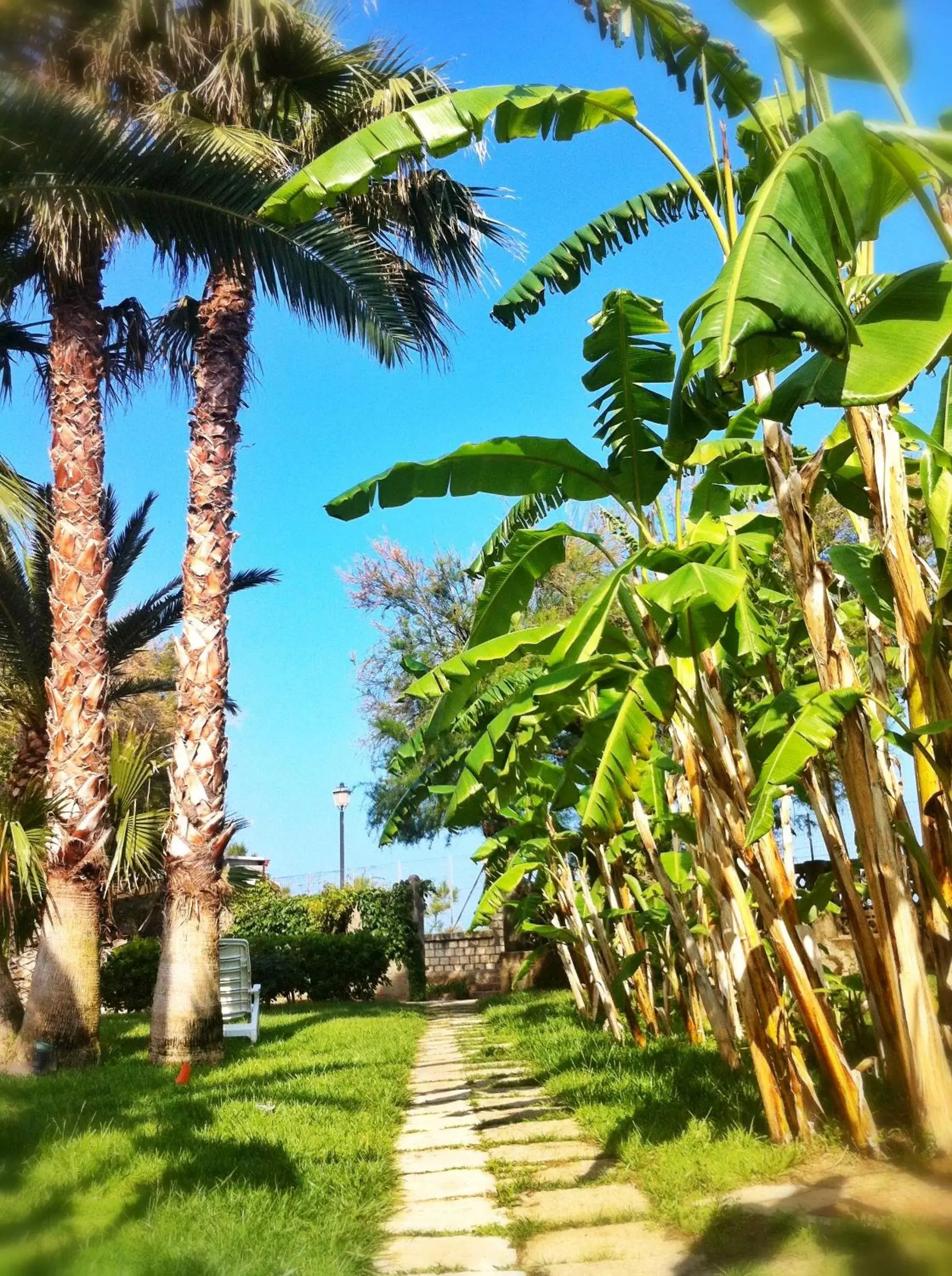 Garden in Villa Giada