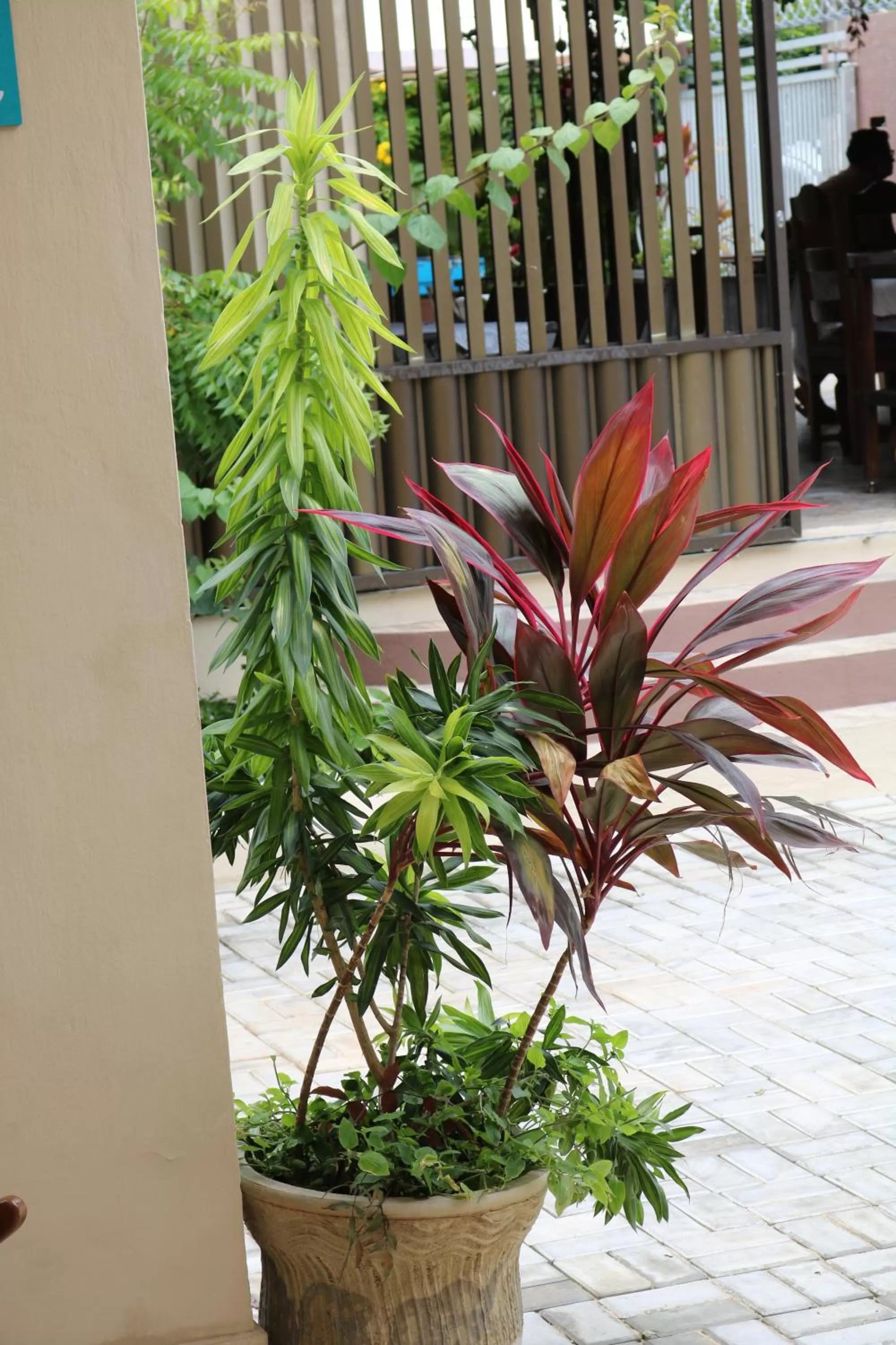 Parking in Pousada Flor Dália