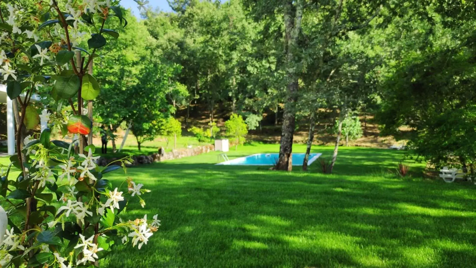 Swimming Pool in Casa de Apeleiras