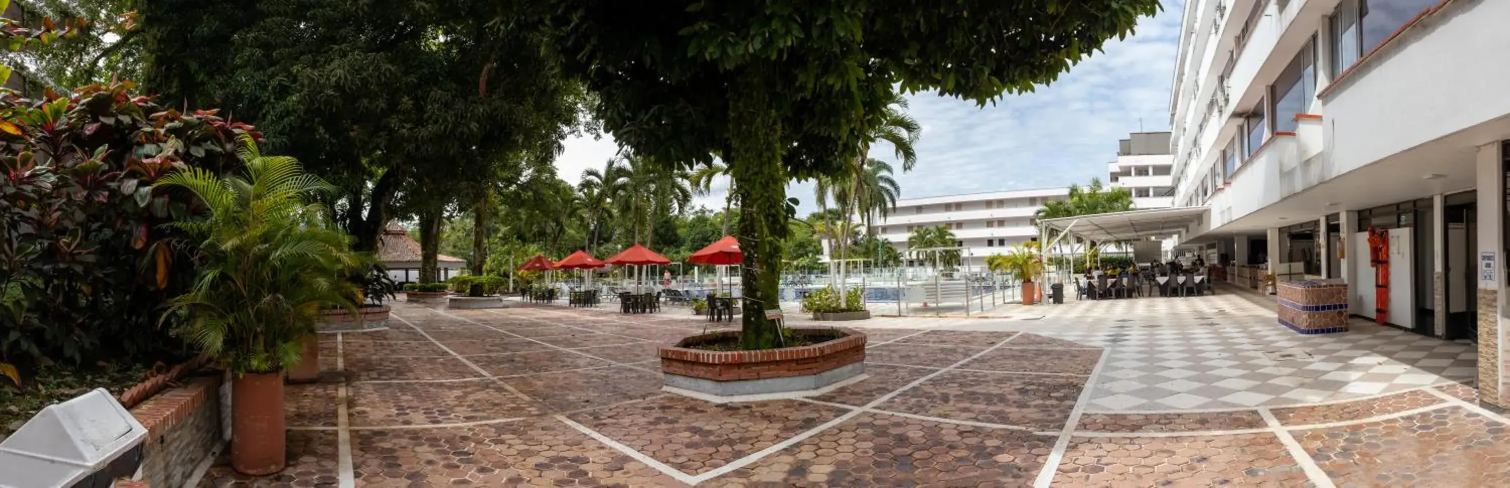 Garden in Hotel del Llano