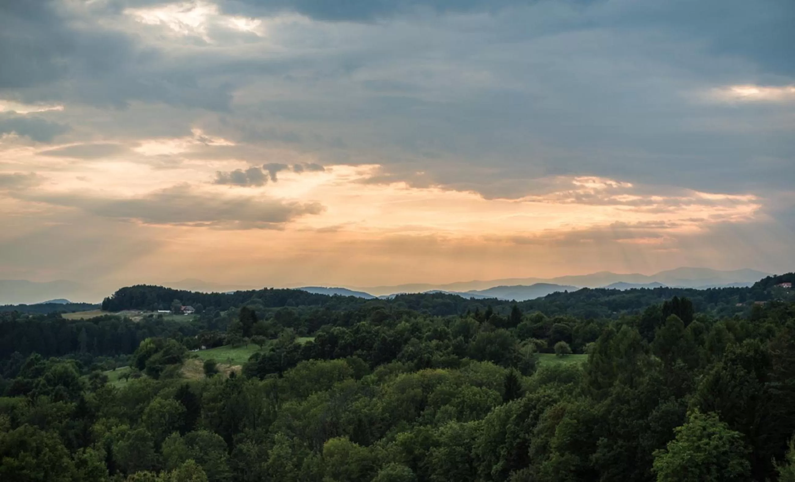 Natural landscape in Hotel Liebmann