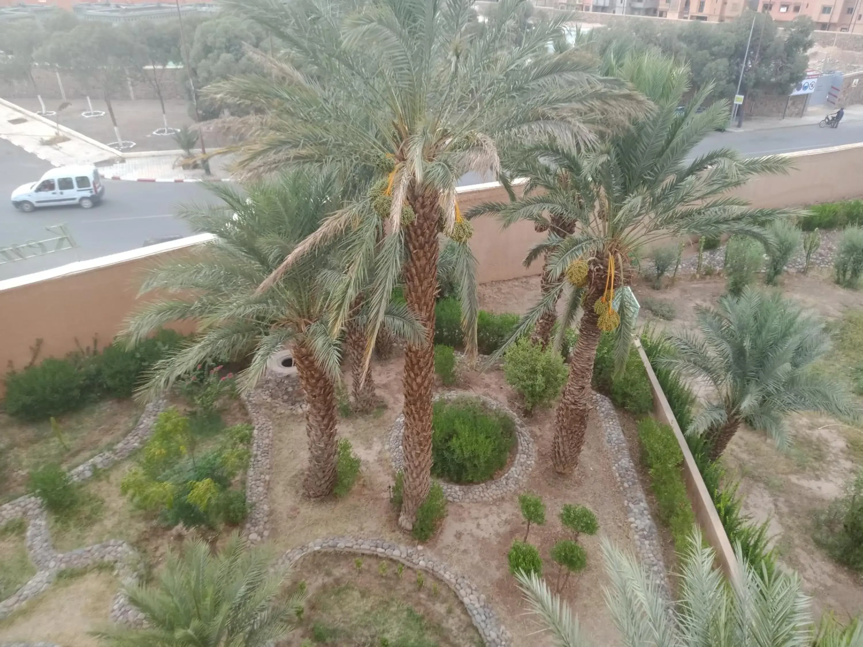 Garden view in Kenzi Azghor Hotel