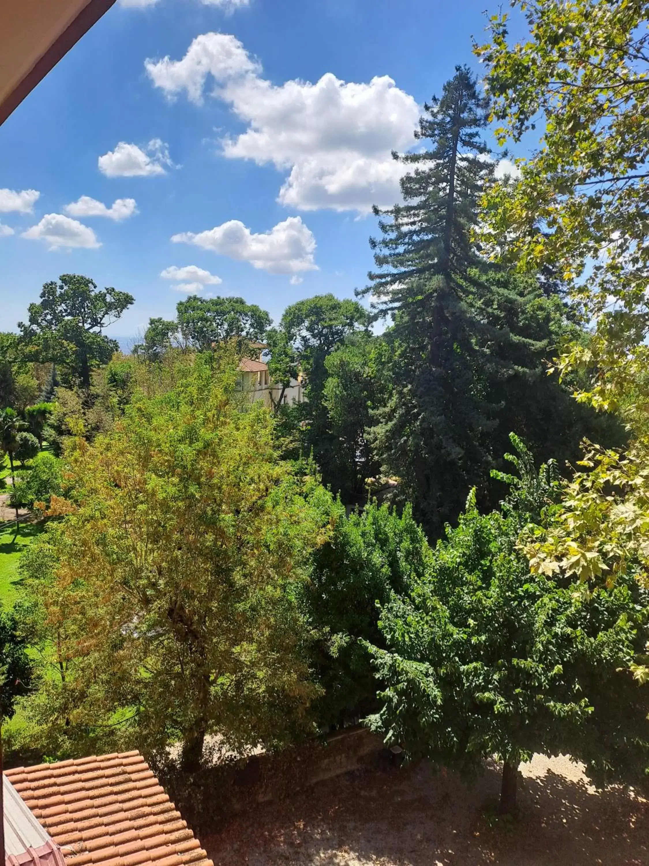 View (from property/room) in Hotel Villa Robinia