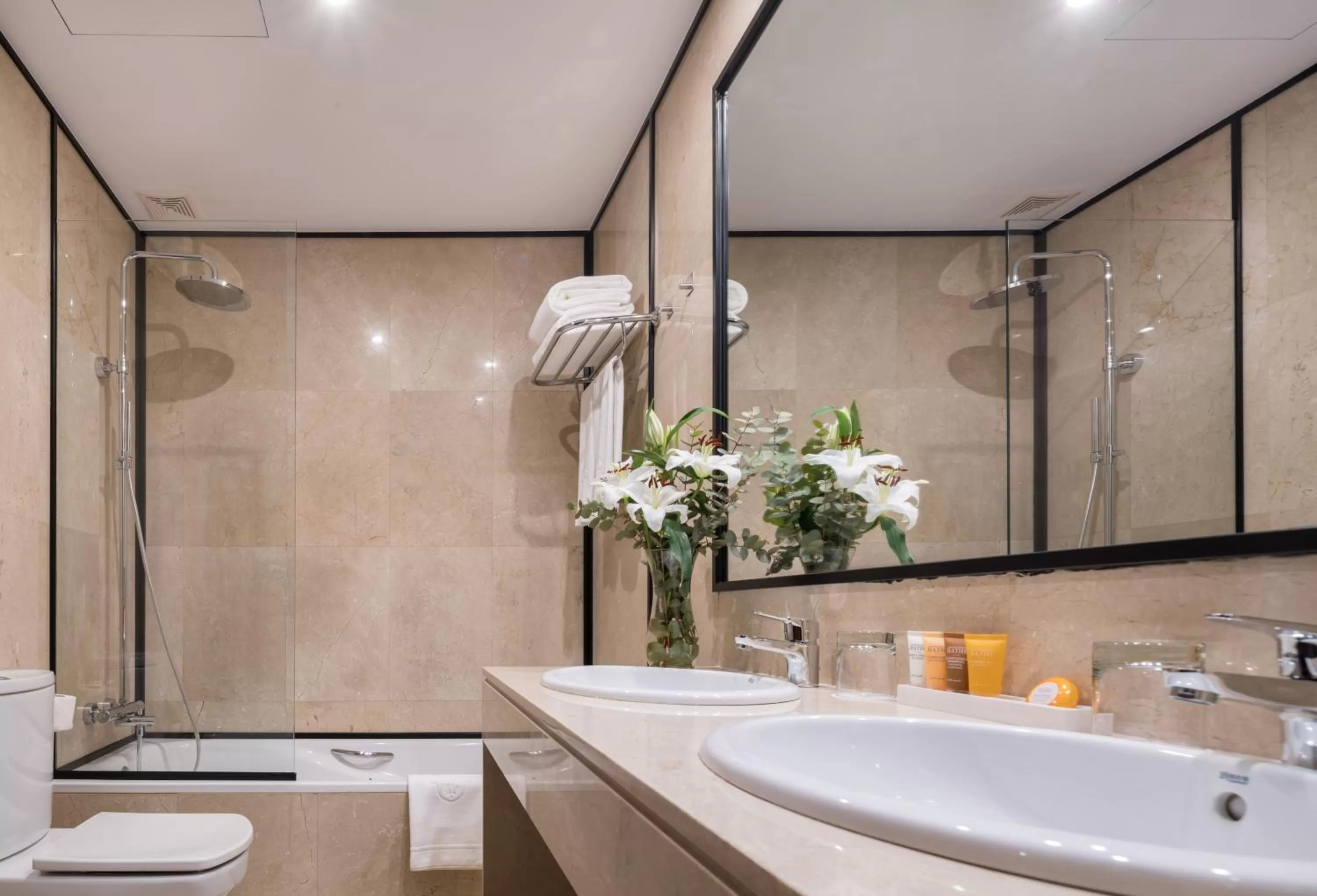 Toilet in Principe Pio