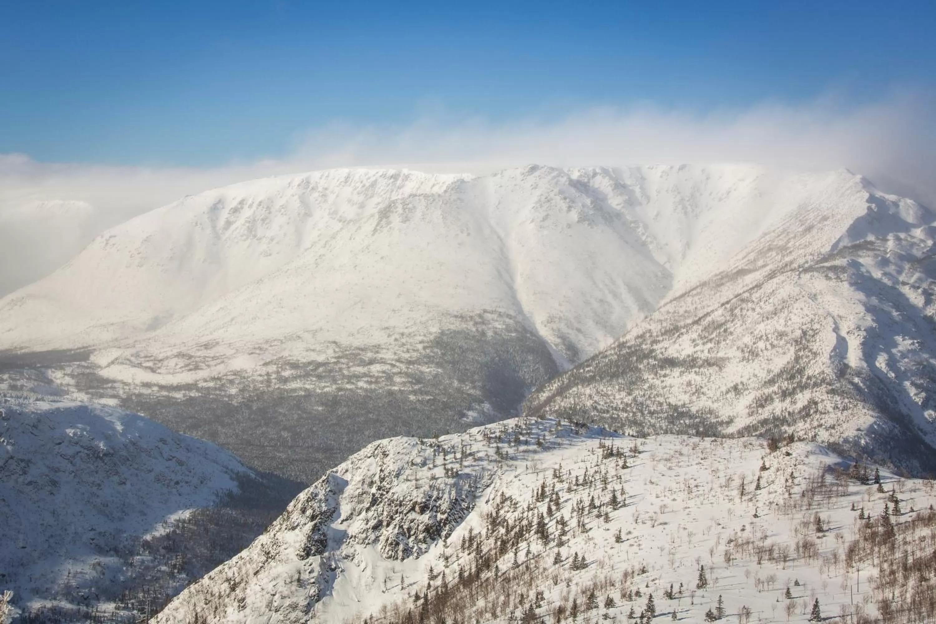 Natural landscape in Gîte du Mont-Albert - Sepaq