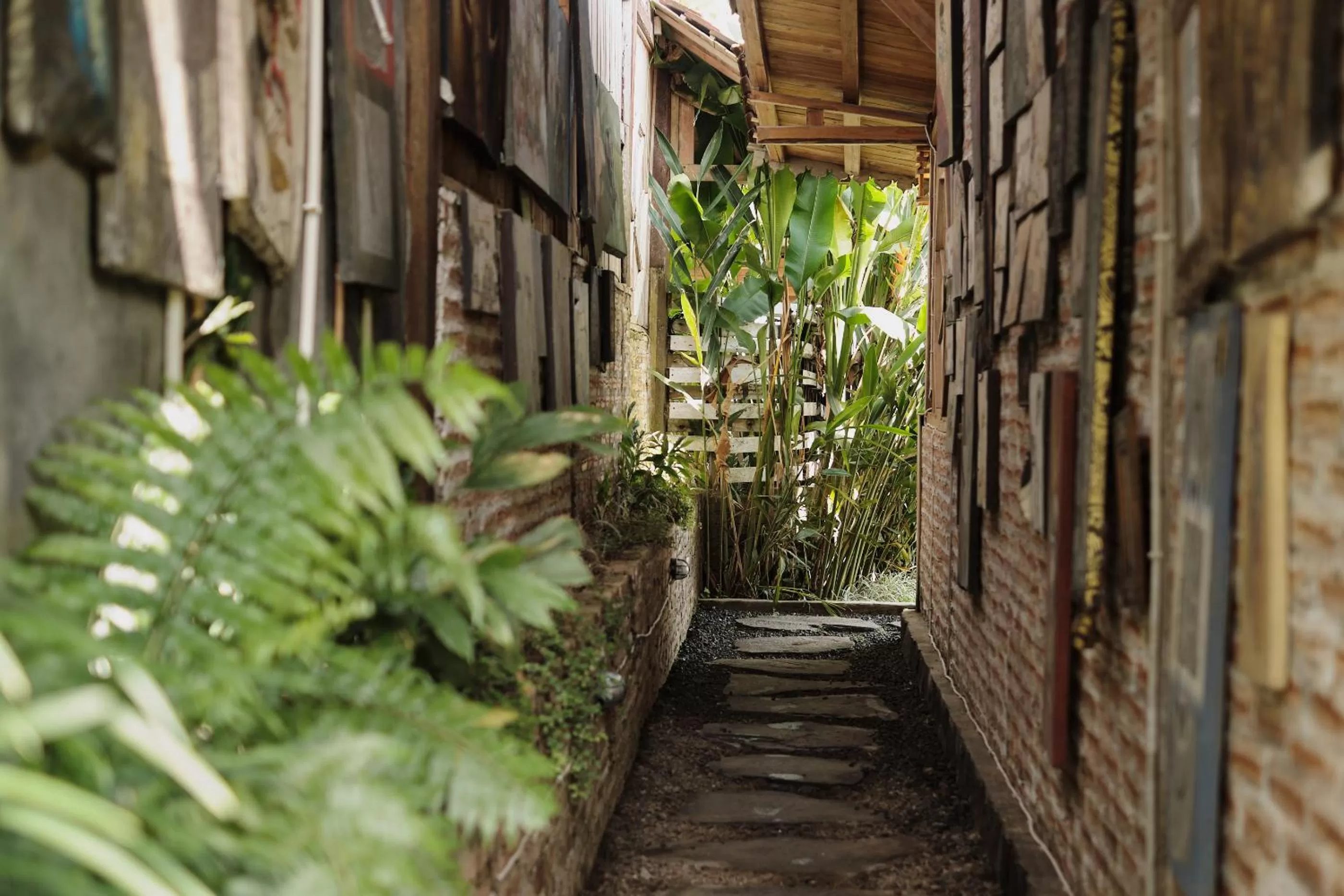 Garden view in Joglo Organik Guesthouse