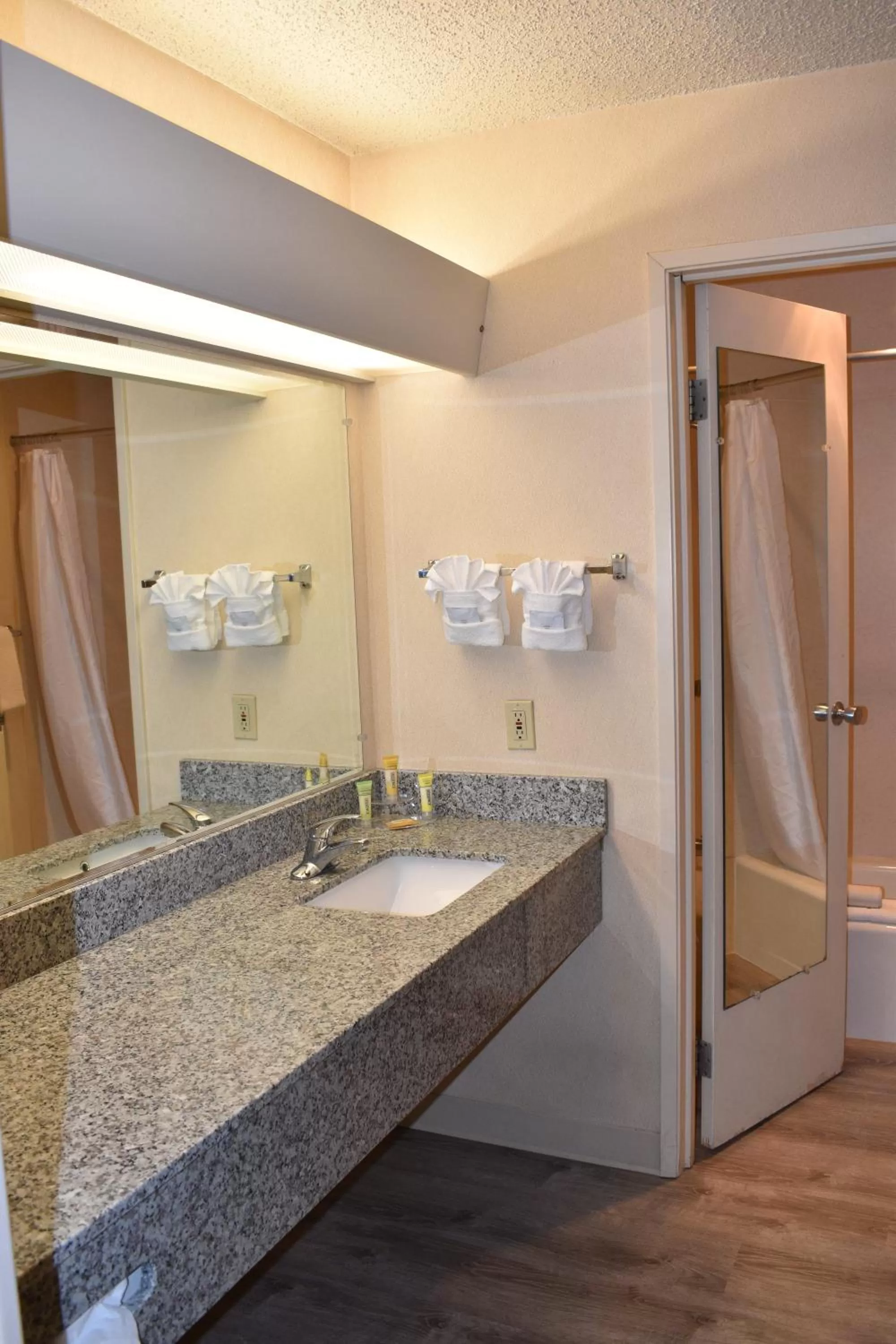 Shower in Inn at the Convention Center