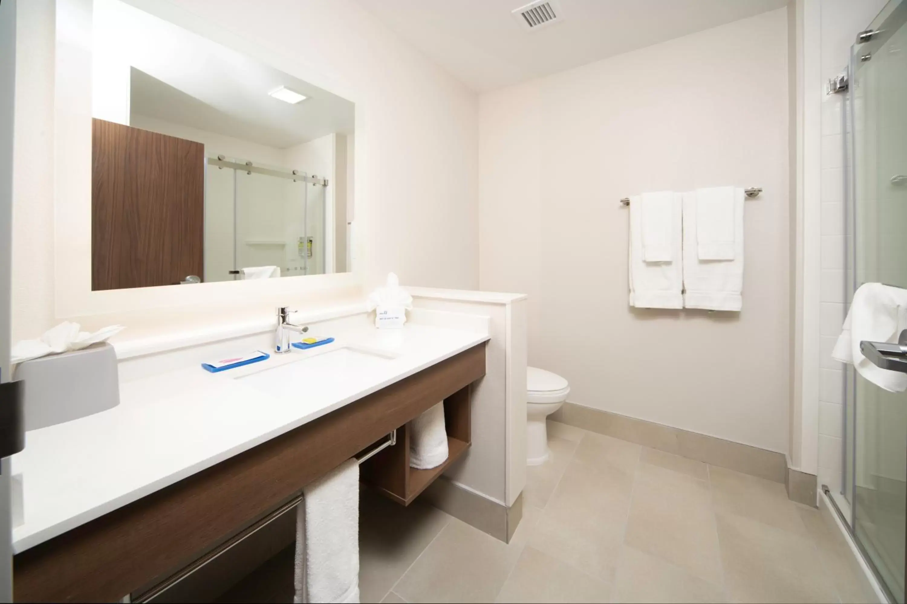 Bathroom in Holiday Inn Express & Suites - Fort Myers Airport, an IHG Hotel