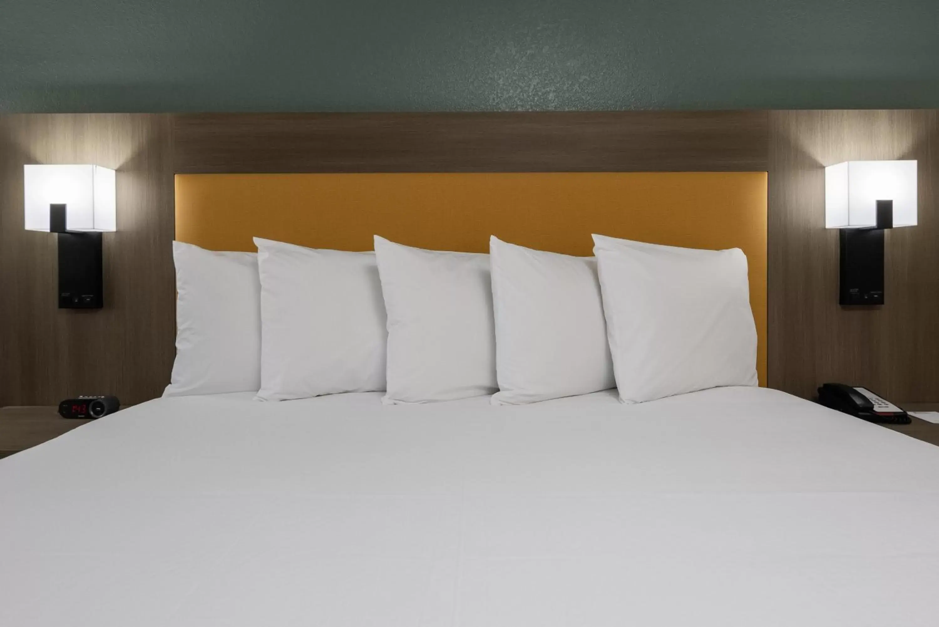 Bed in SureStay Plus Hotel by Best Western Hayward