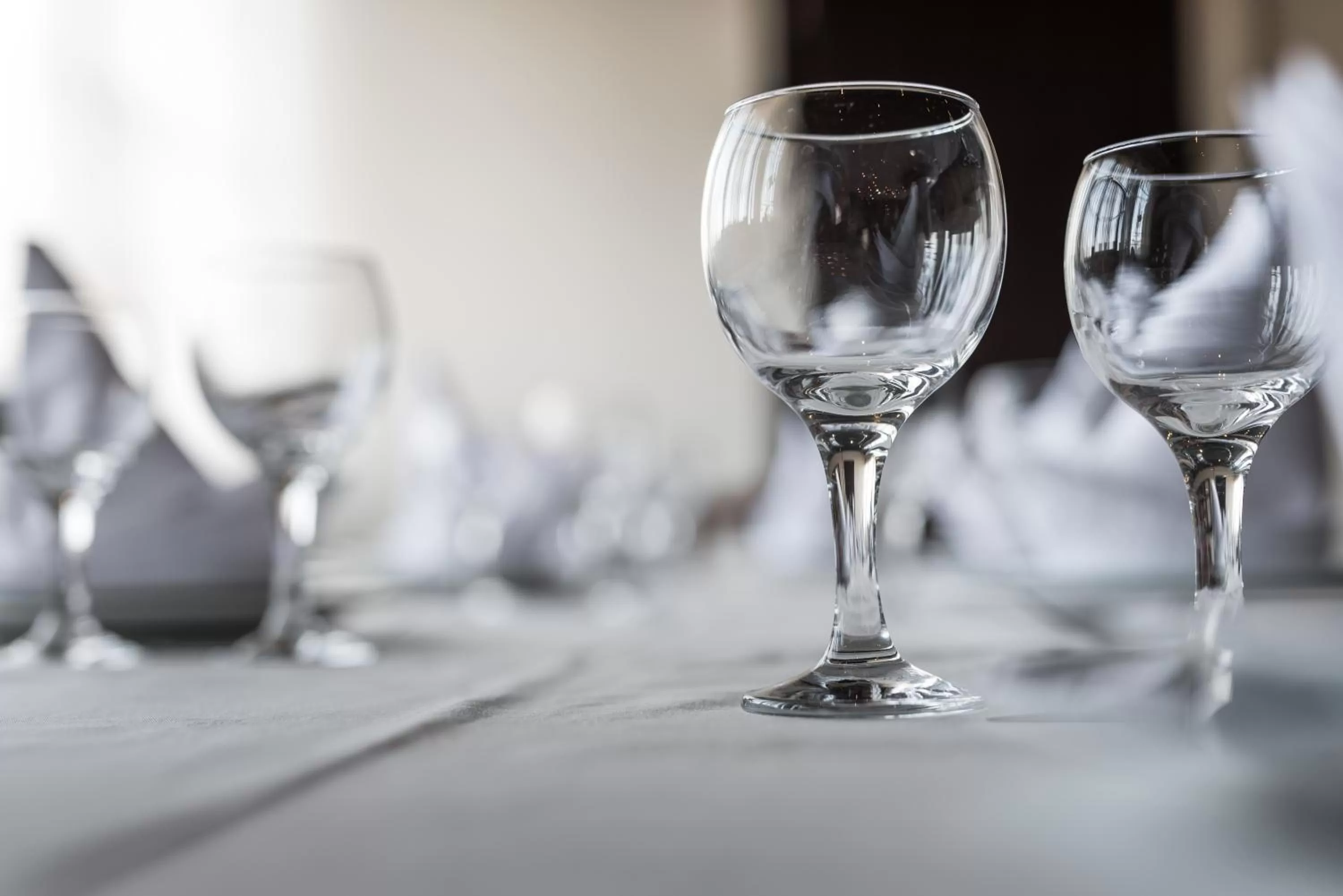 Restaurant/places to eat in Kopala Tskneti Hotel