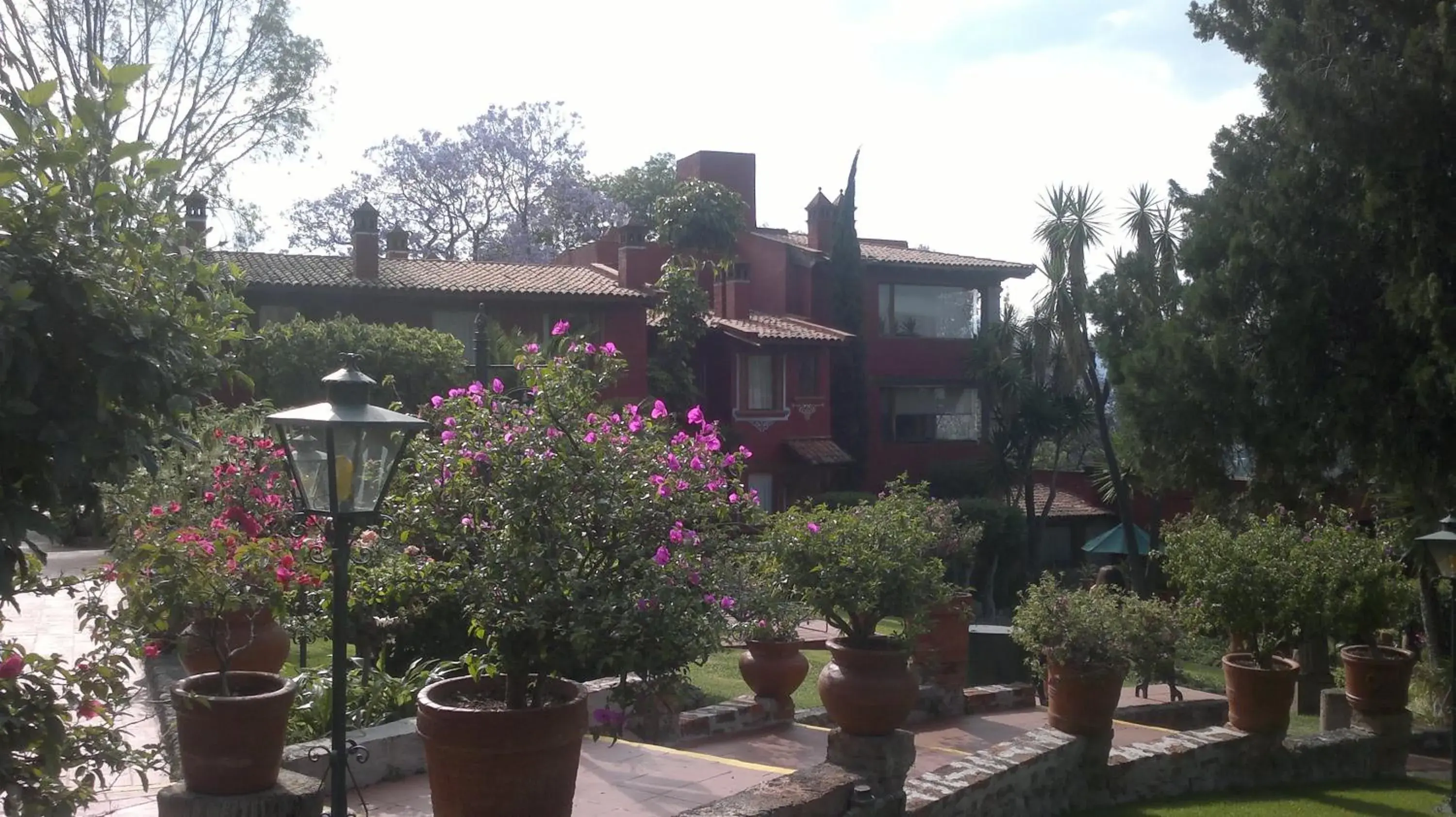 Garden, Property Building in Villa San Jose Hotel & Suites